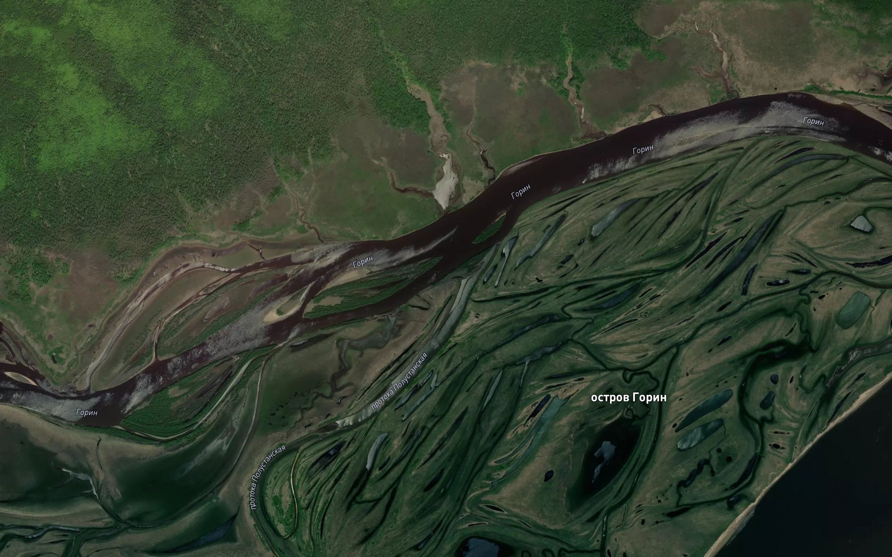 Satellite map of the Protoka Polustanskaya