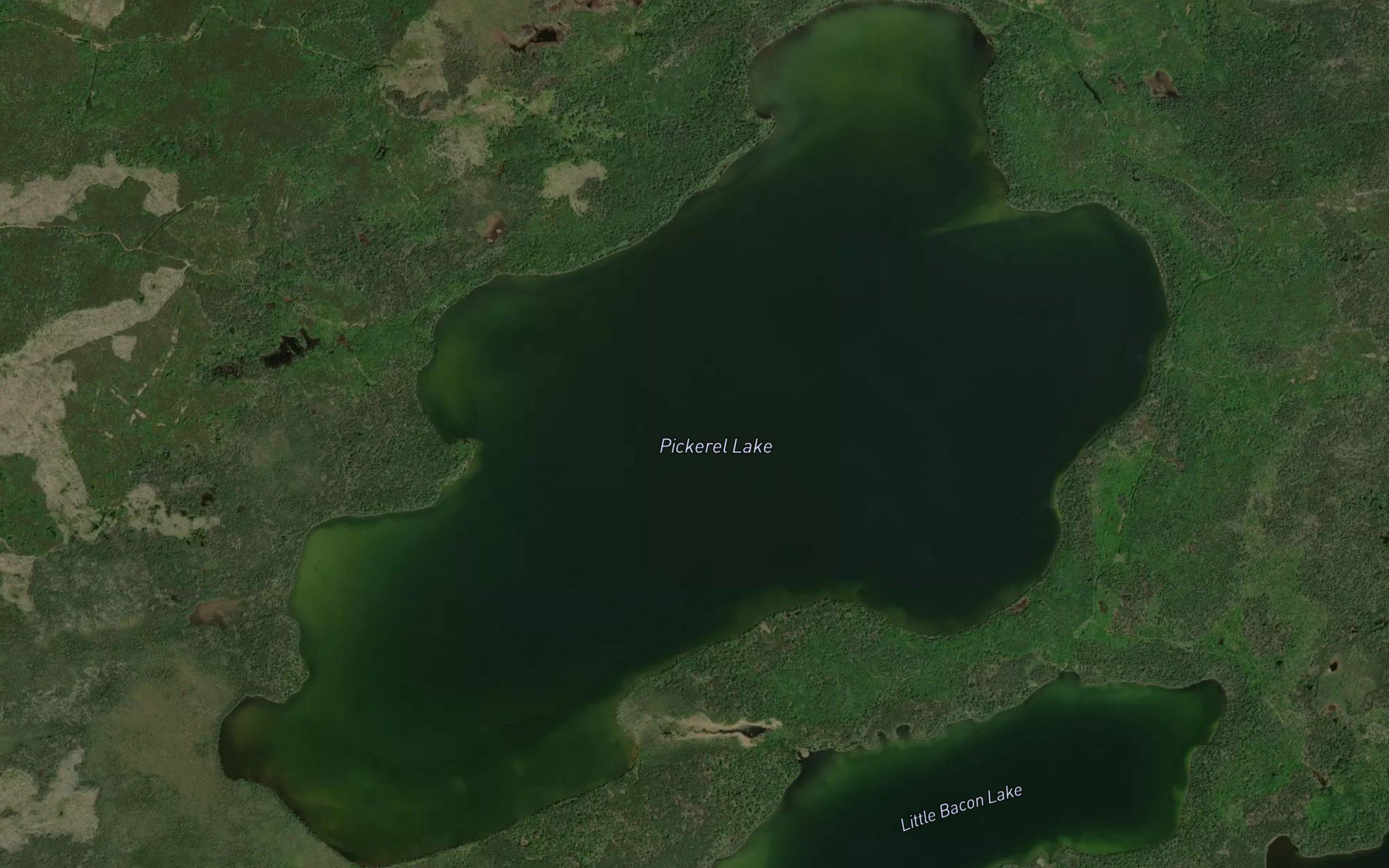 Bacon Lake