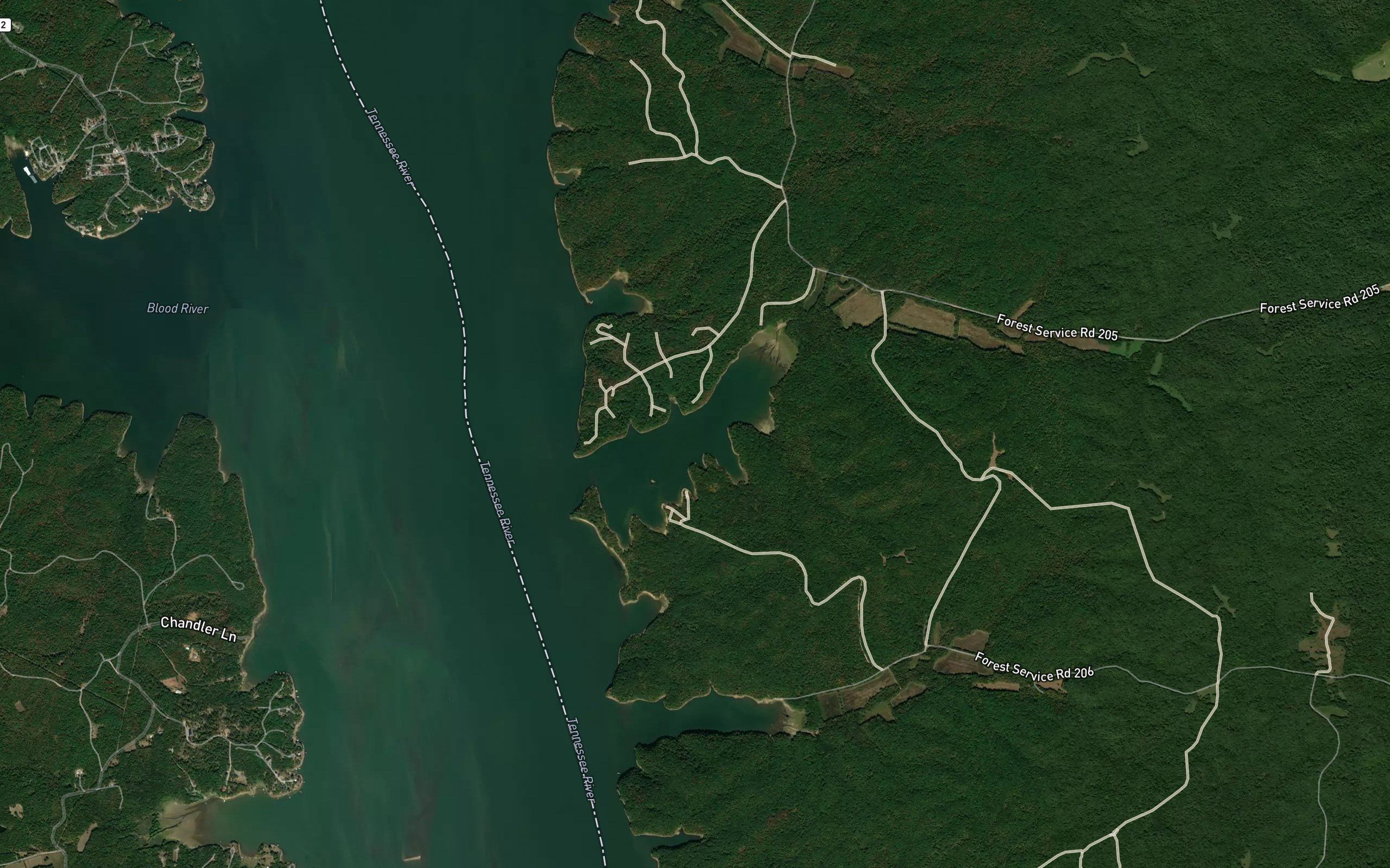 Ginger Bay