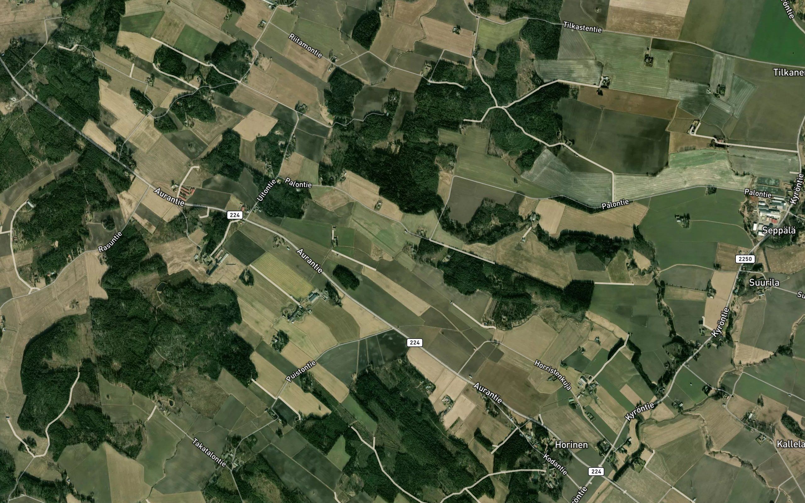 Kompoja