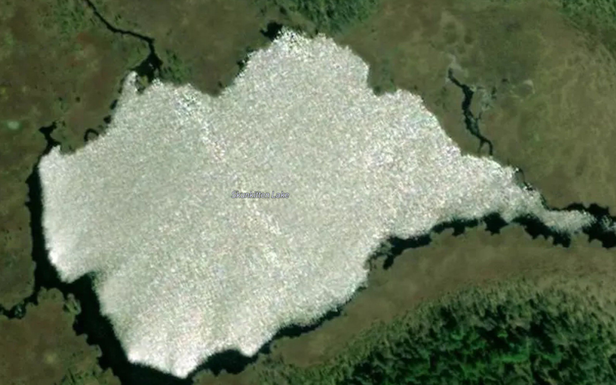 Skunkitten Lake