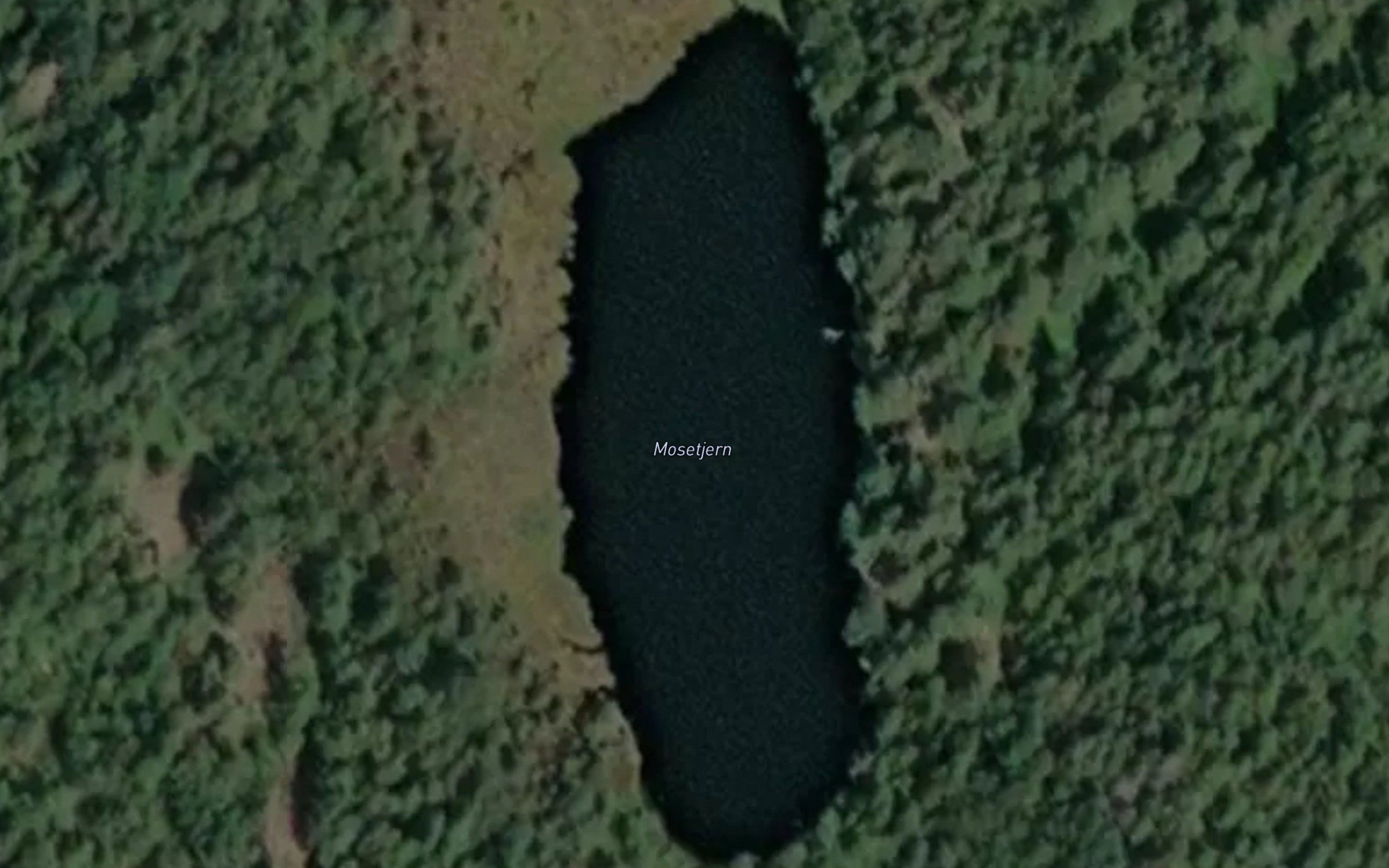 Mosetjern