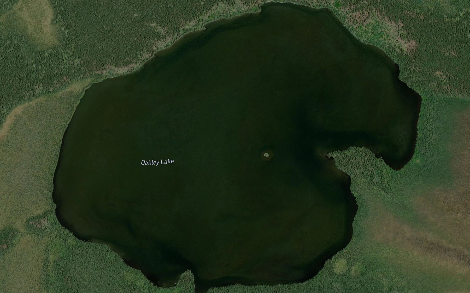 Satellite map of the Oakley Lake