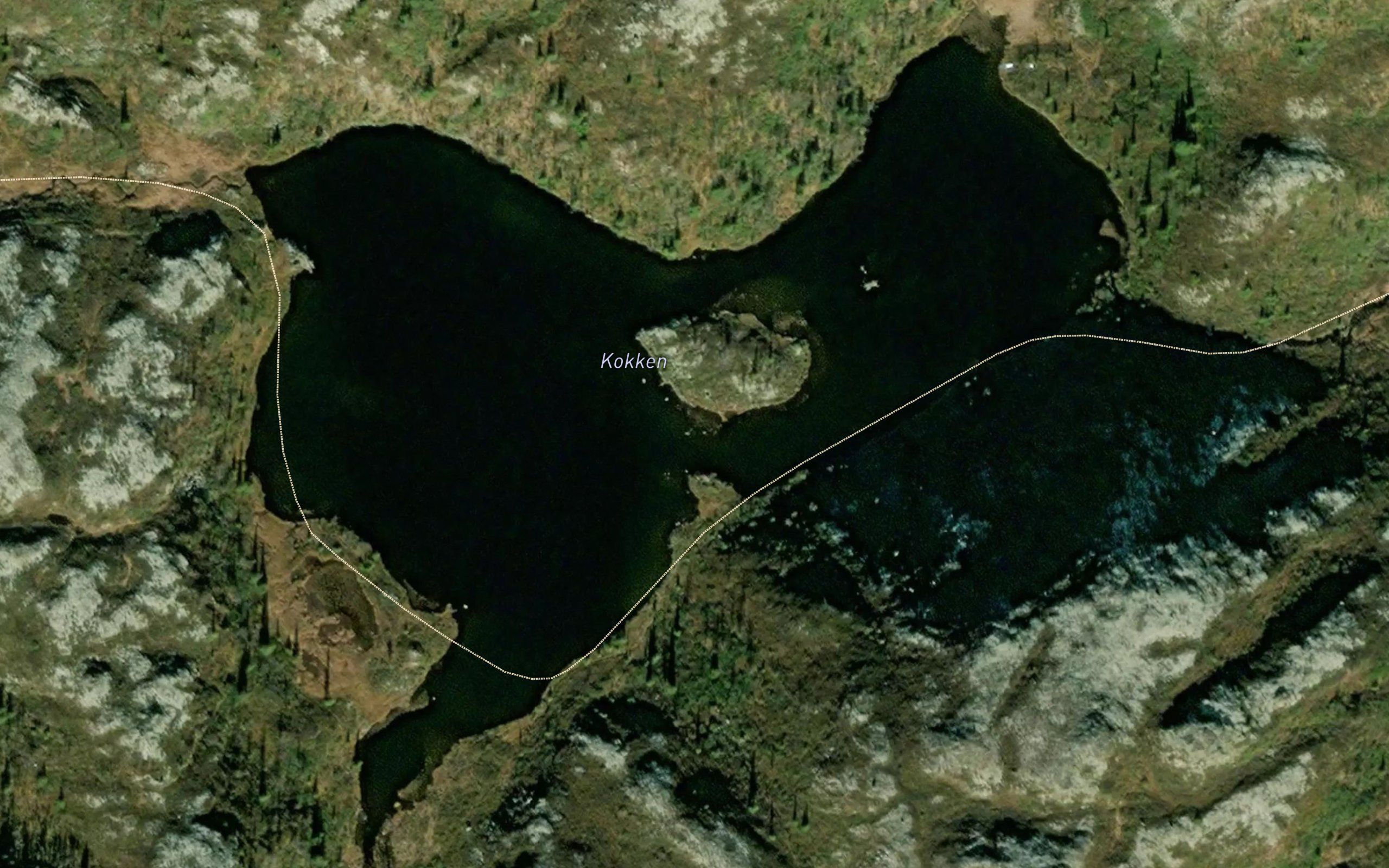 Kokken