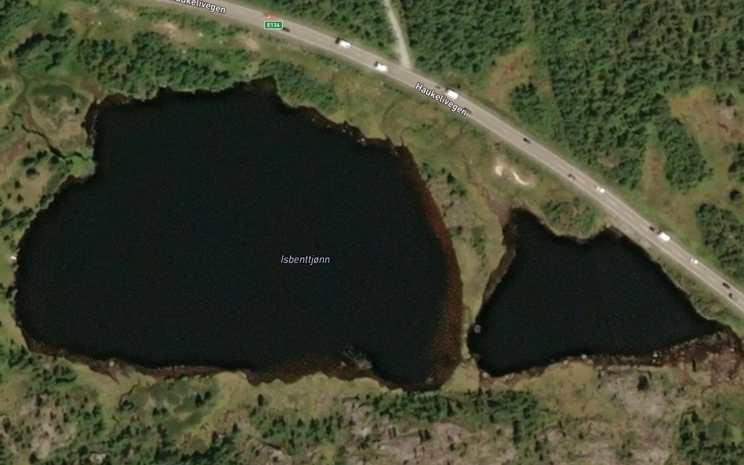 Isbenttjonnane