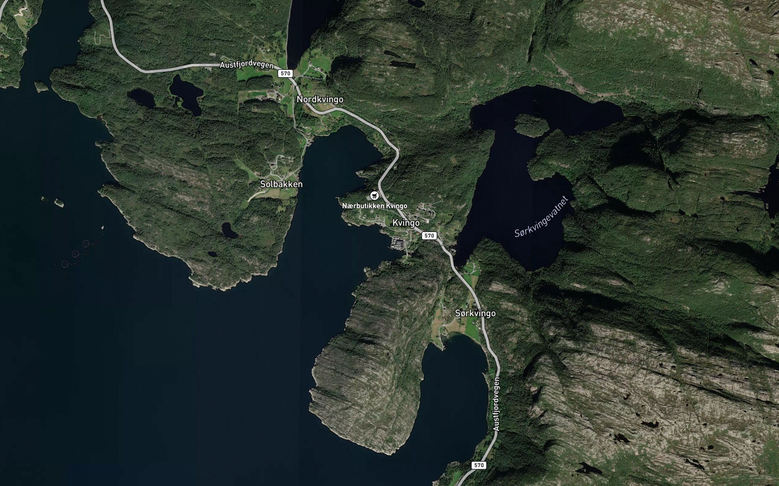 Skutevika