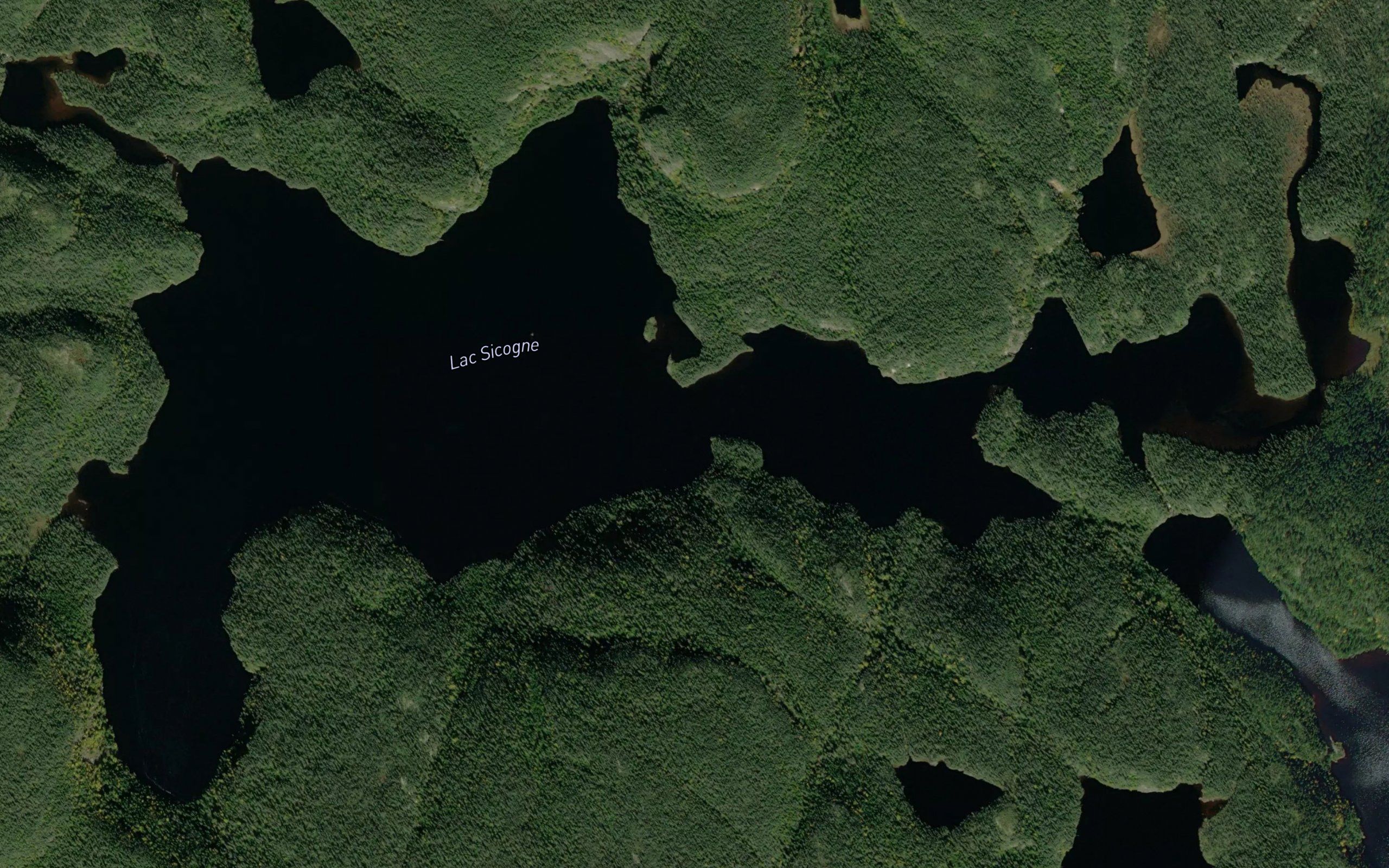 Lac Sicogne