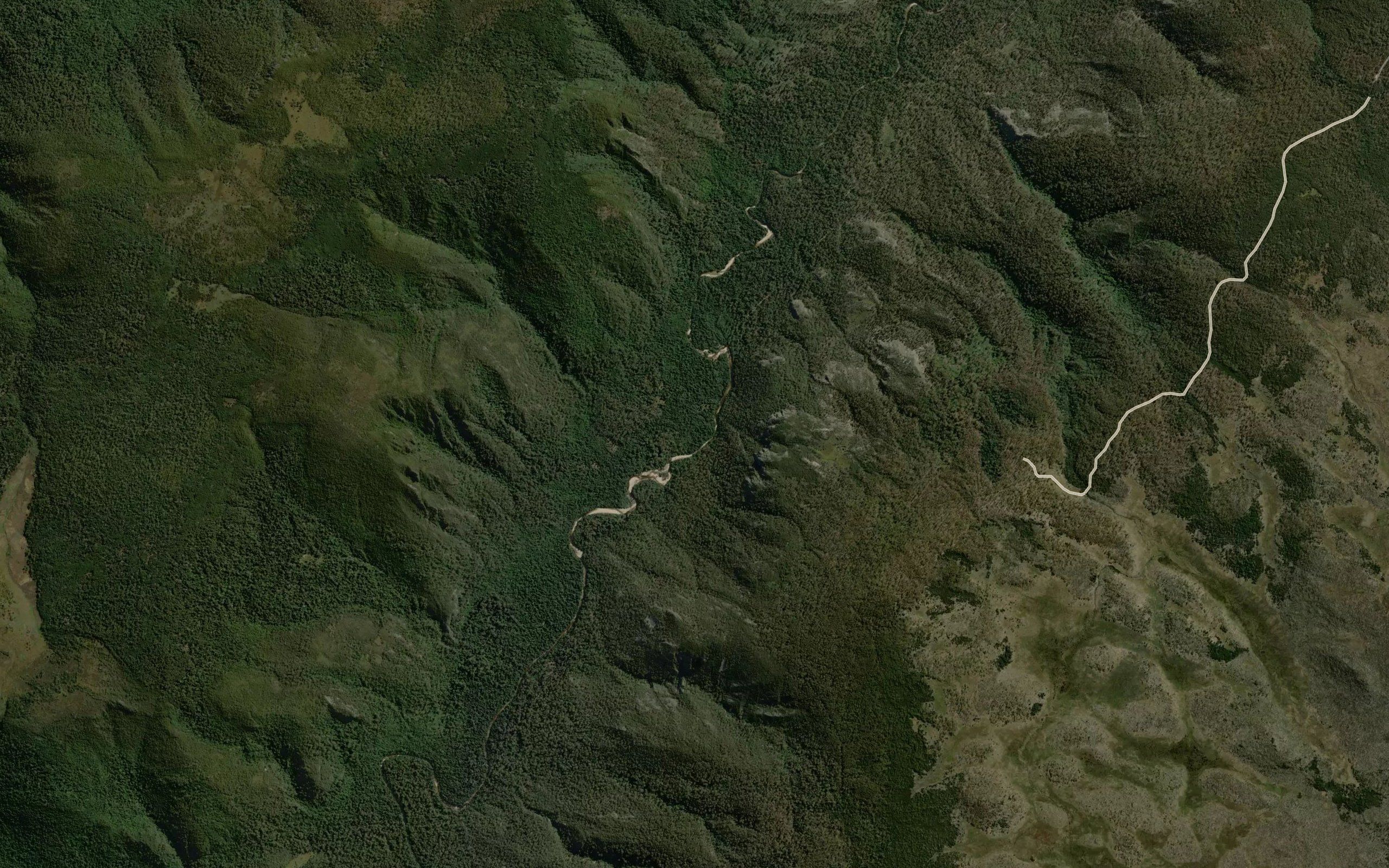 Sardine Creek
