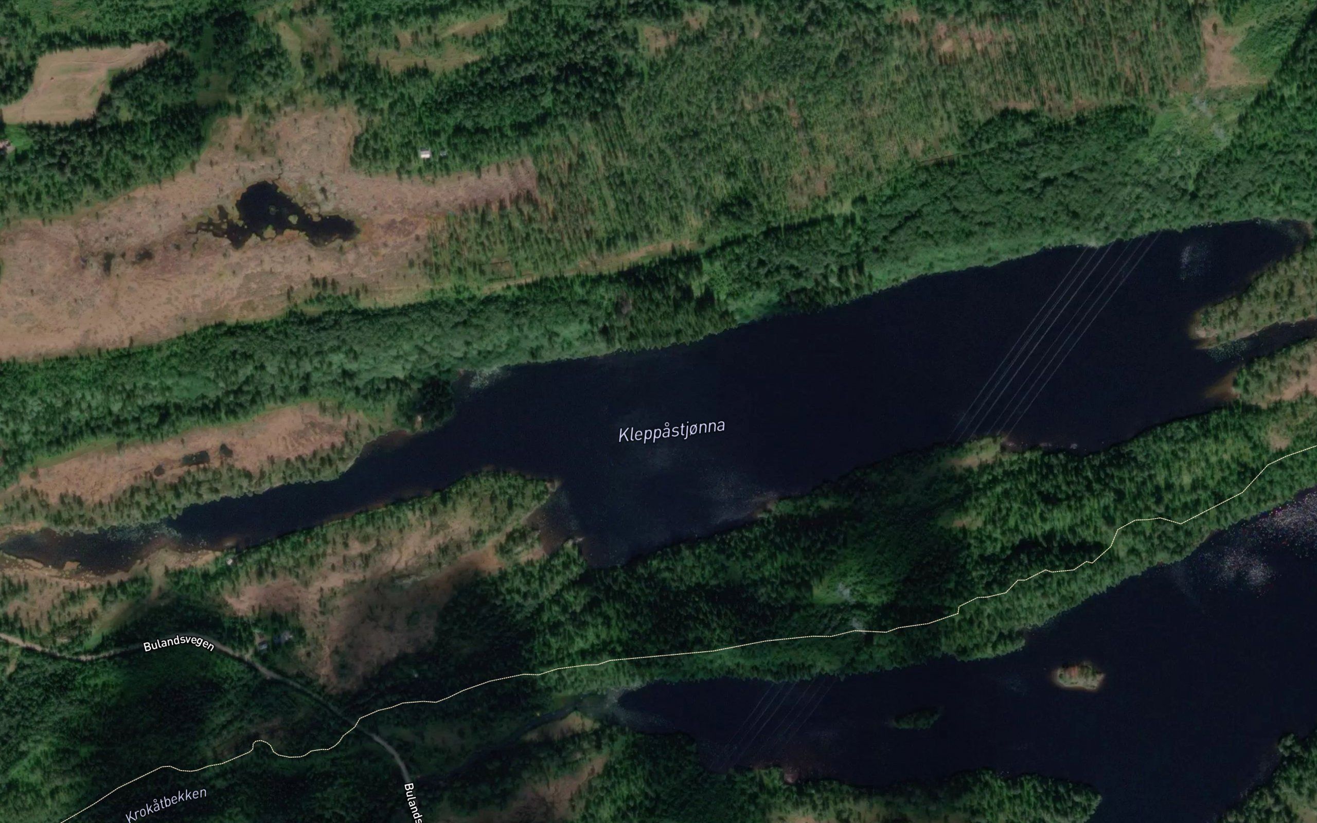 Klepptjorna
