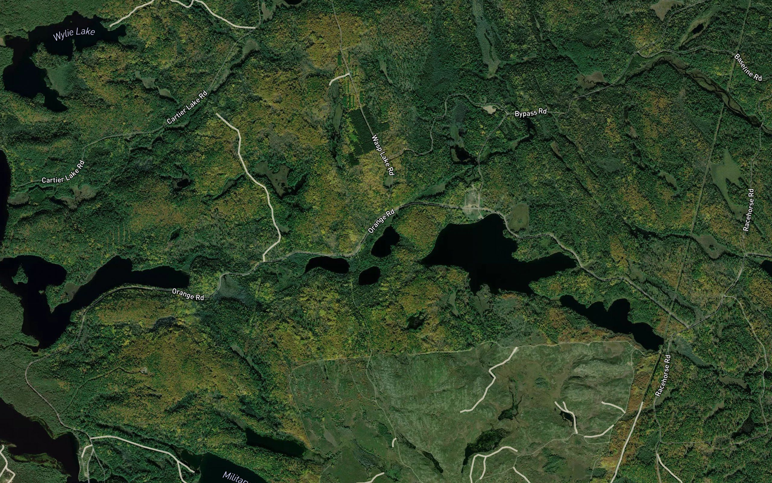 Wasp Lake