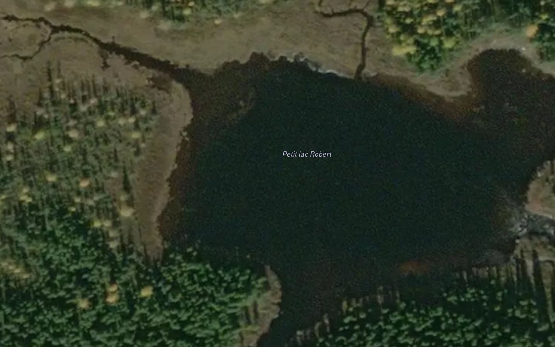 Satellite map of the Petit lac Robert