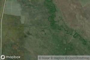 Tsoronskiy