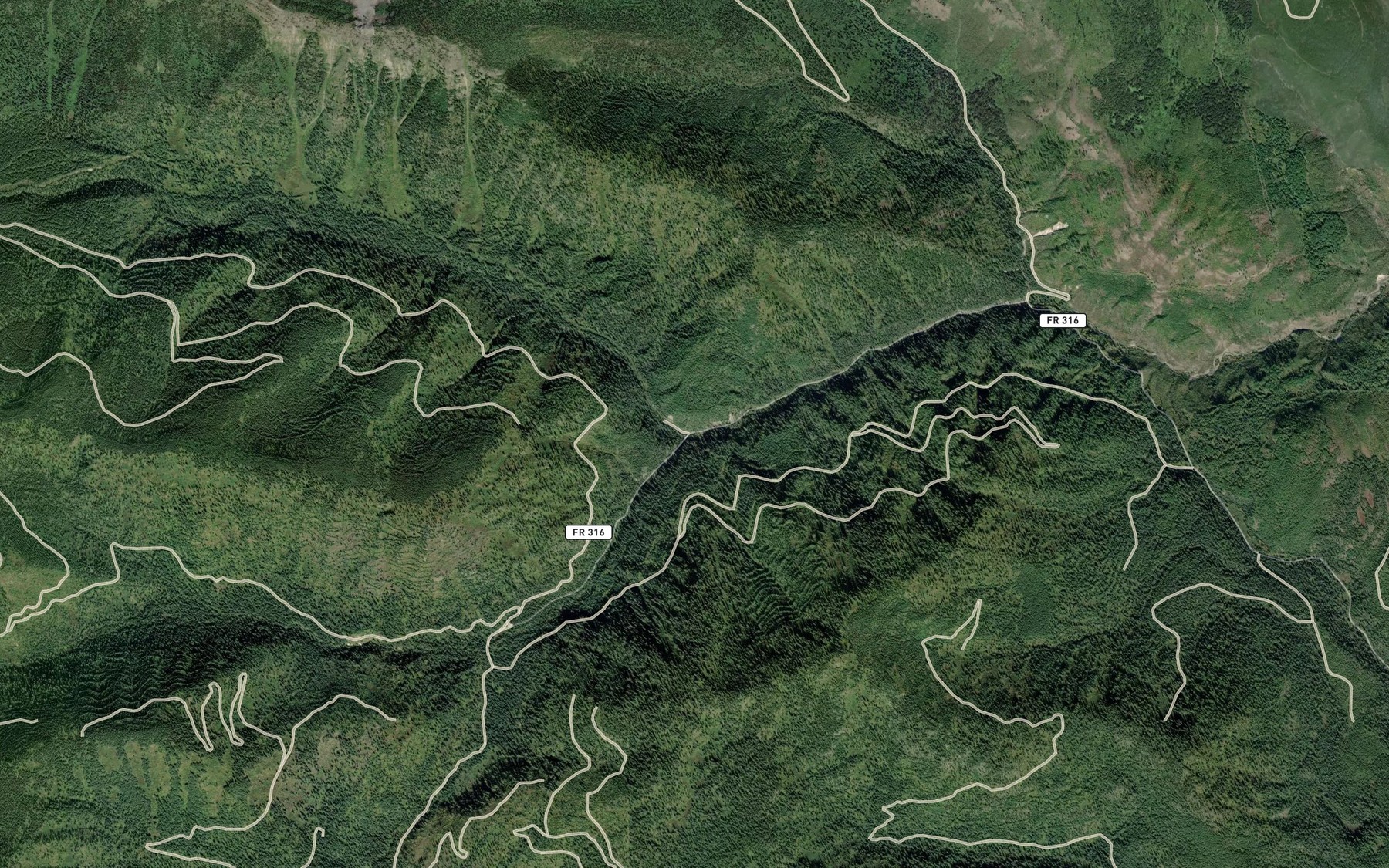 Satellite map of the South Fork Canyon Creek
