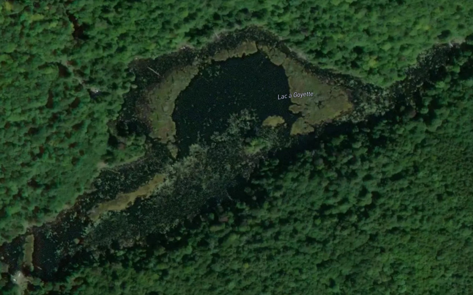 Satellite map of the Lac a Goyette
