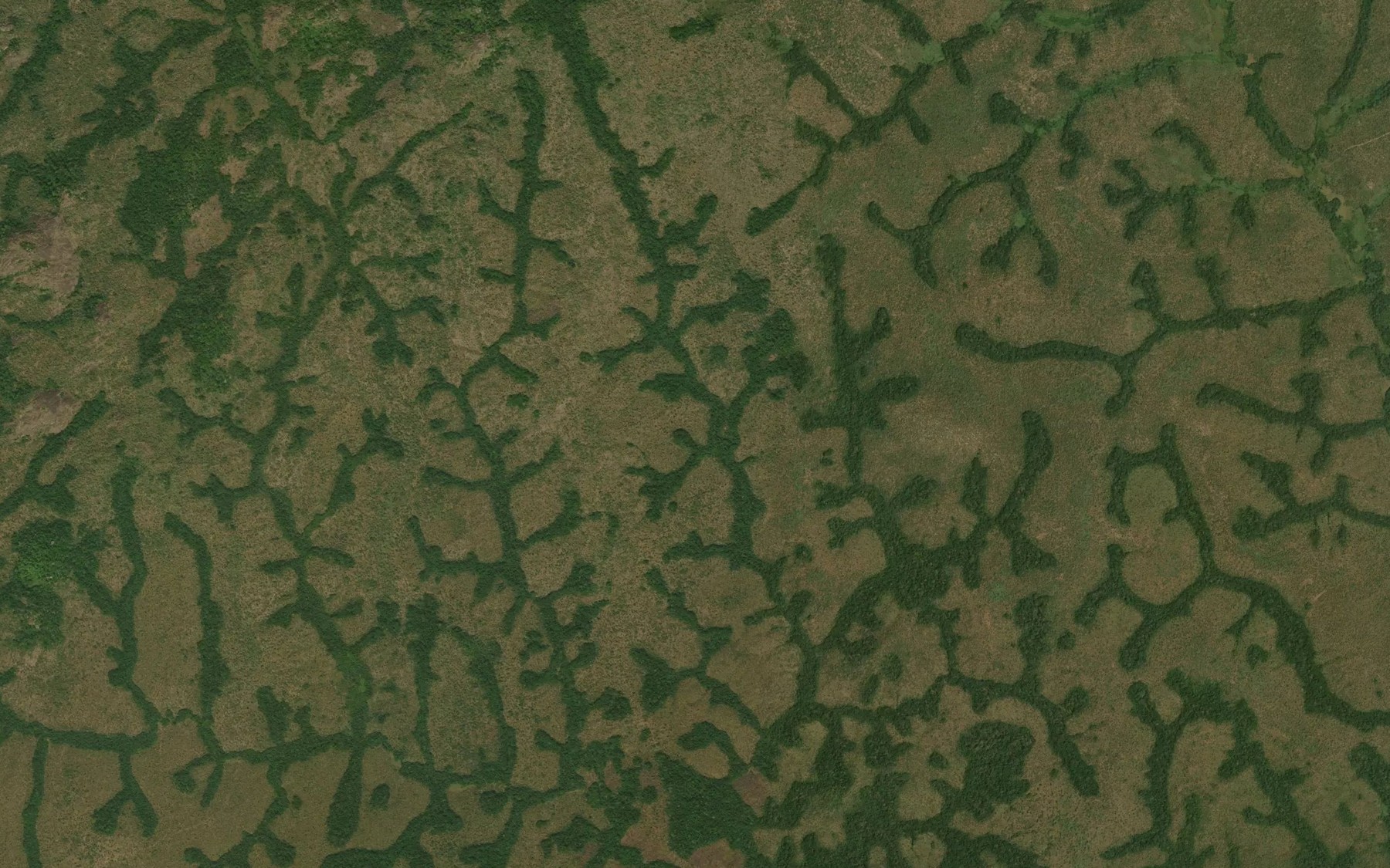 Satellite map of the Bili