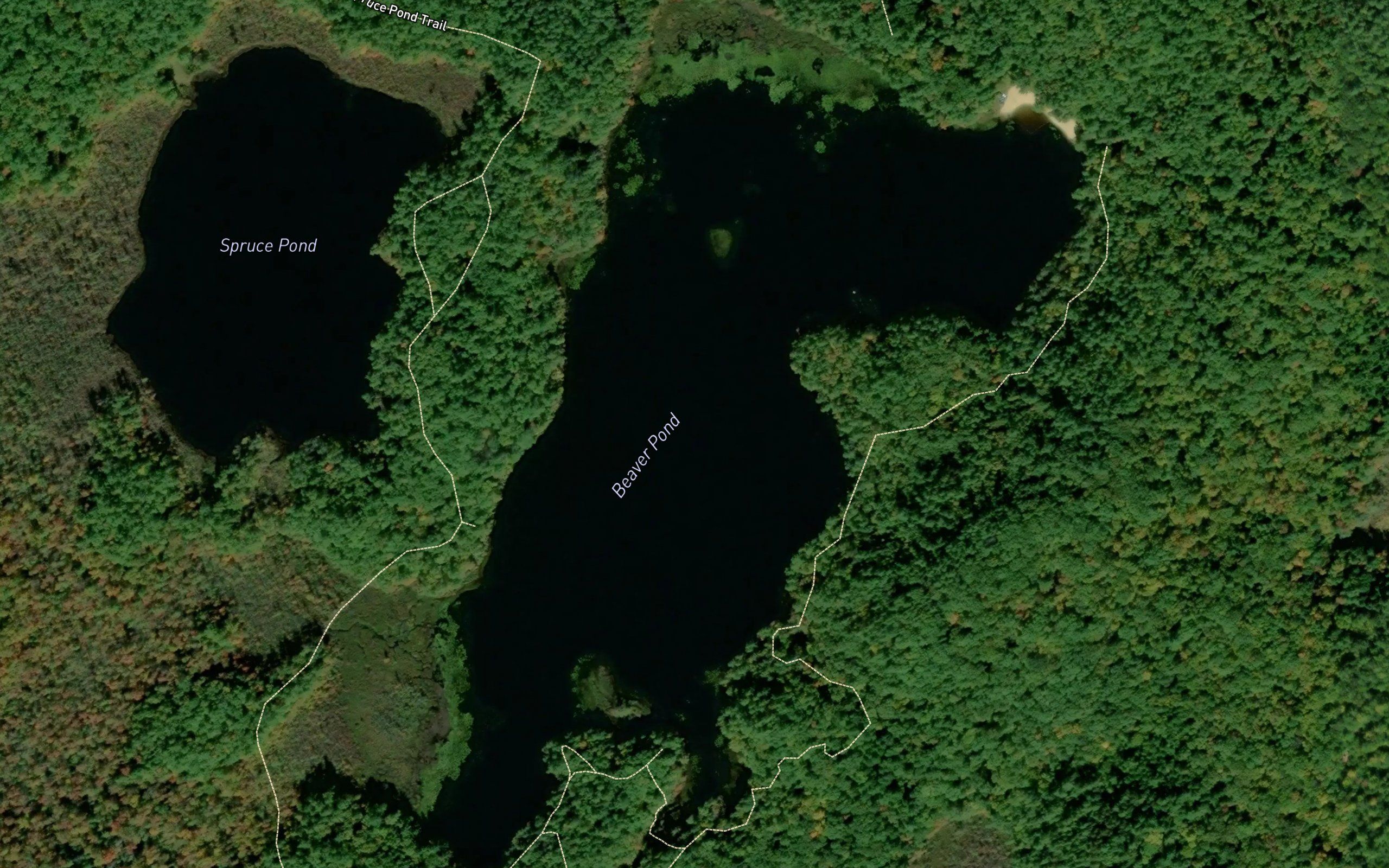 Beaver Pond