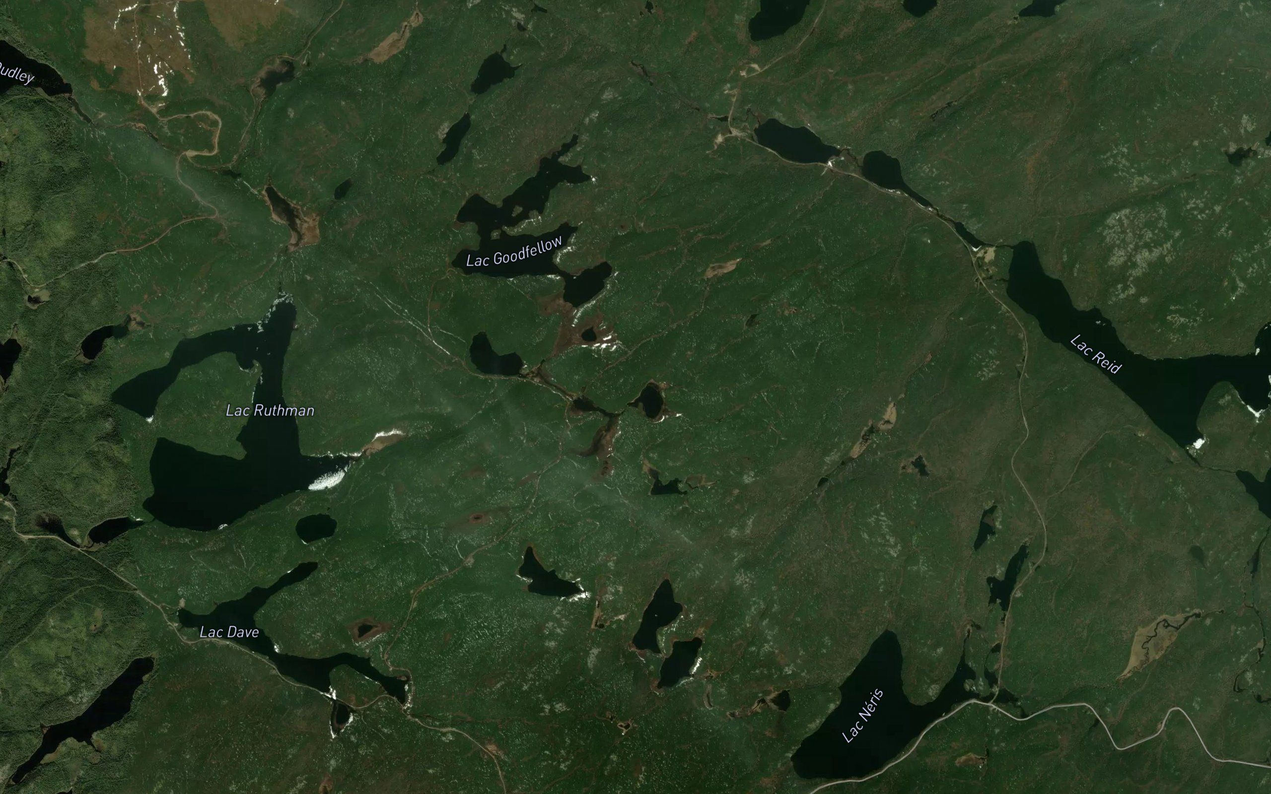 Lac Alphonso