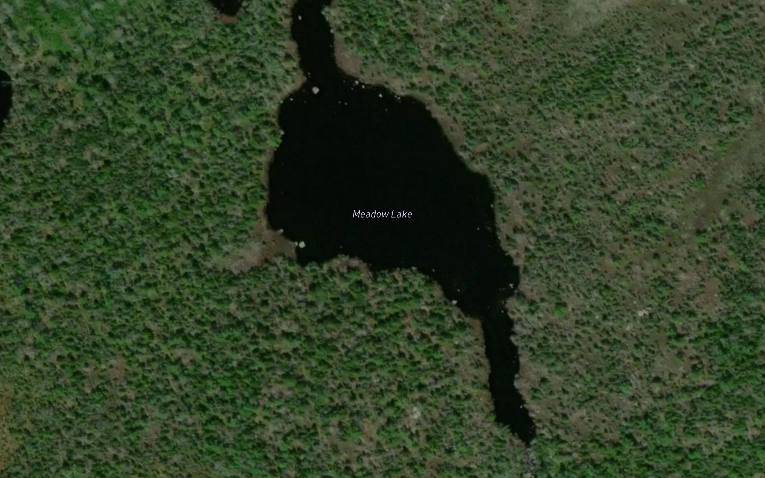 Meadow Lake