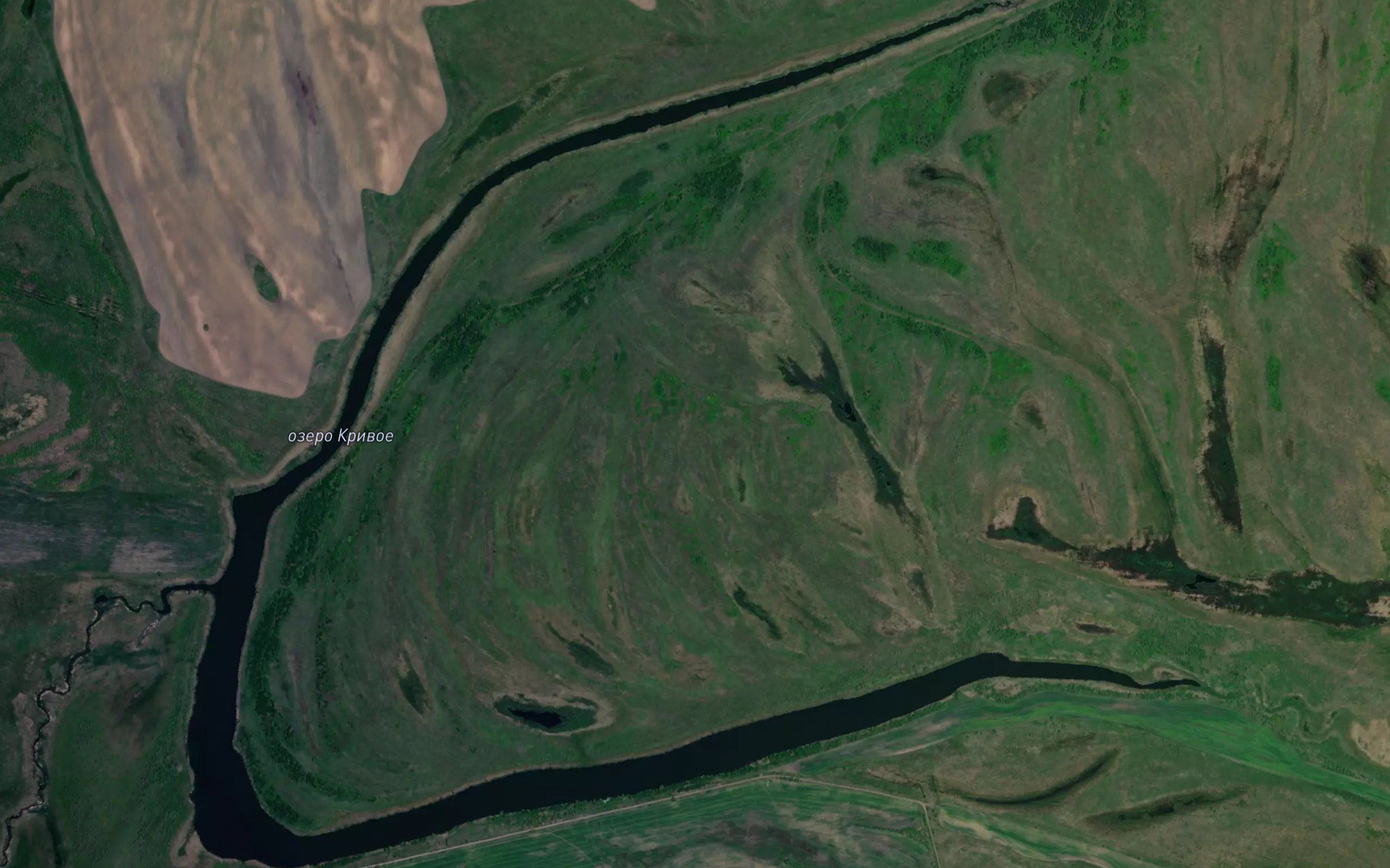 Ozero Krivoye