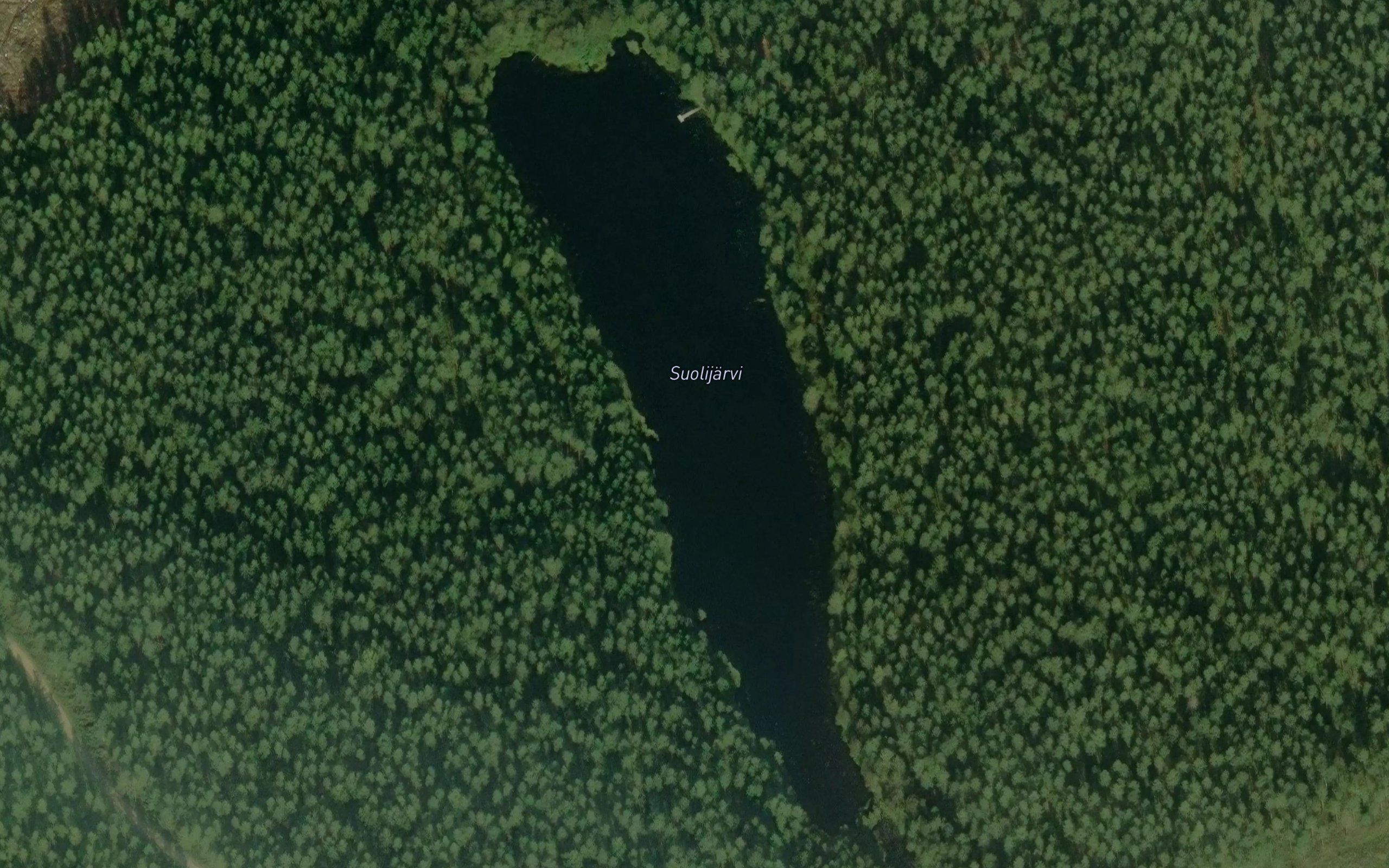 Suolijarvi