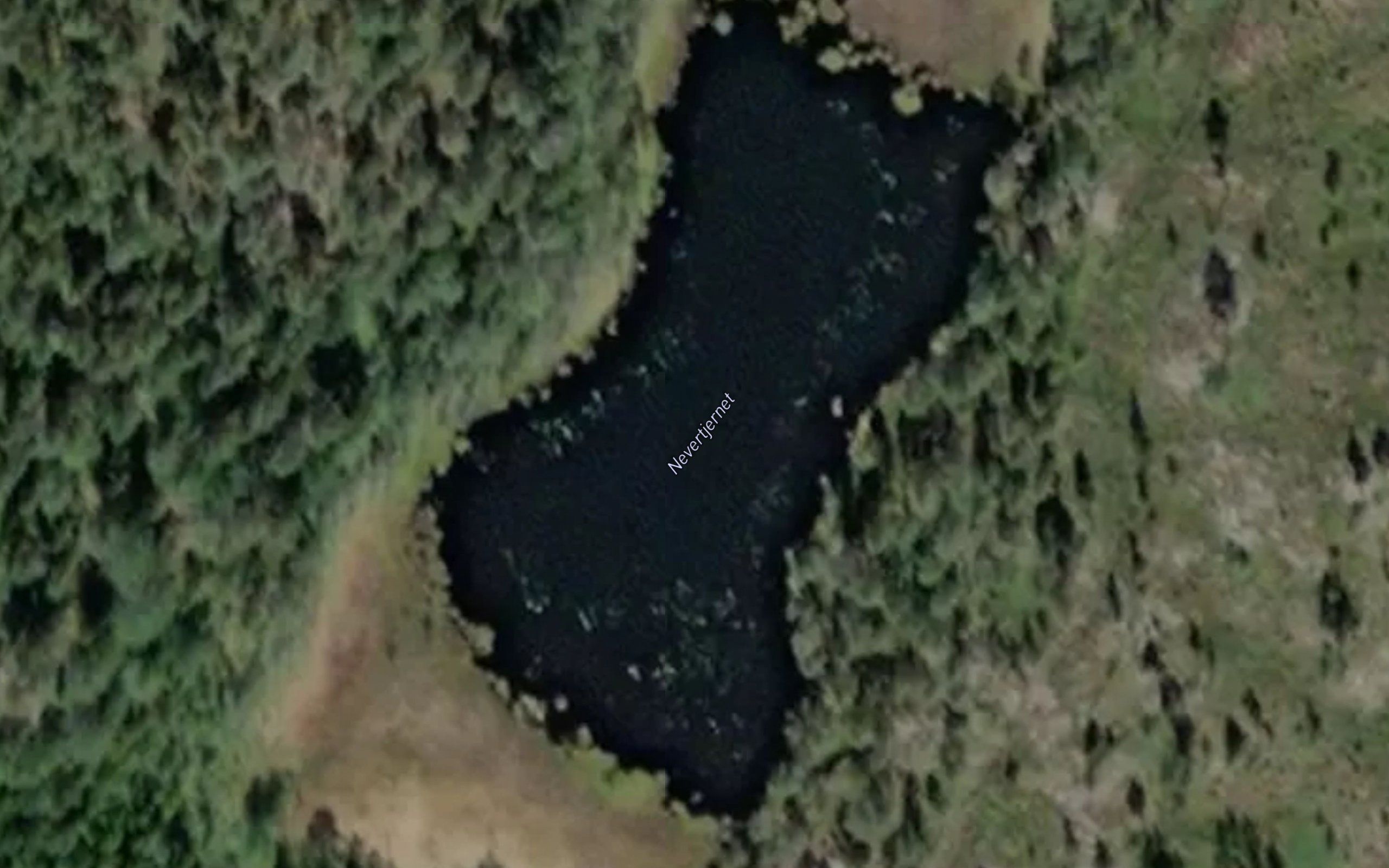 Nevertjernet