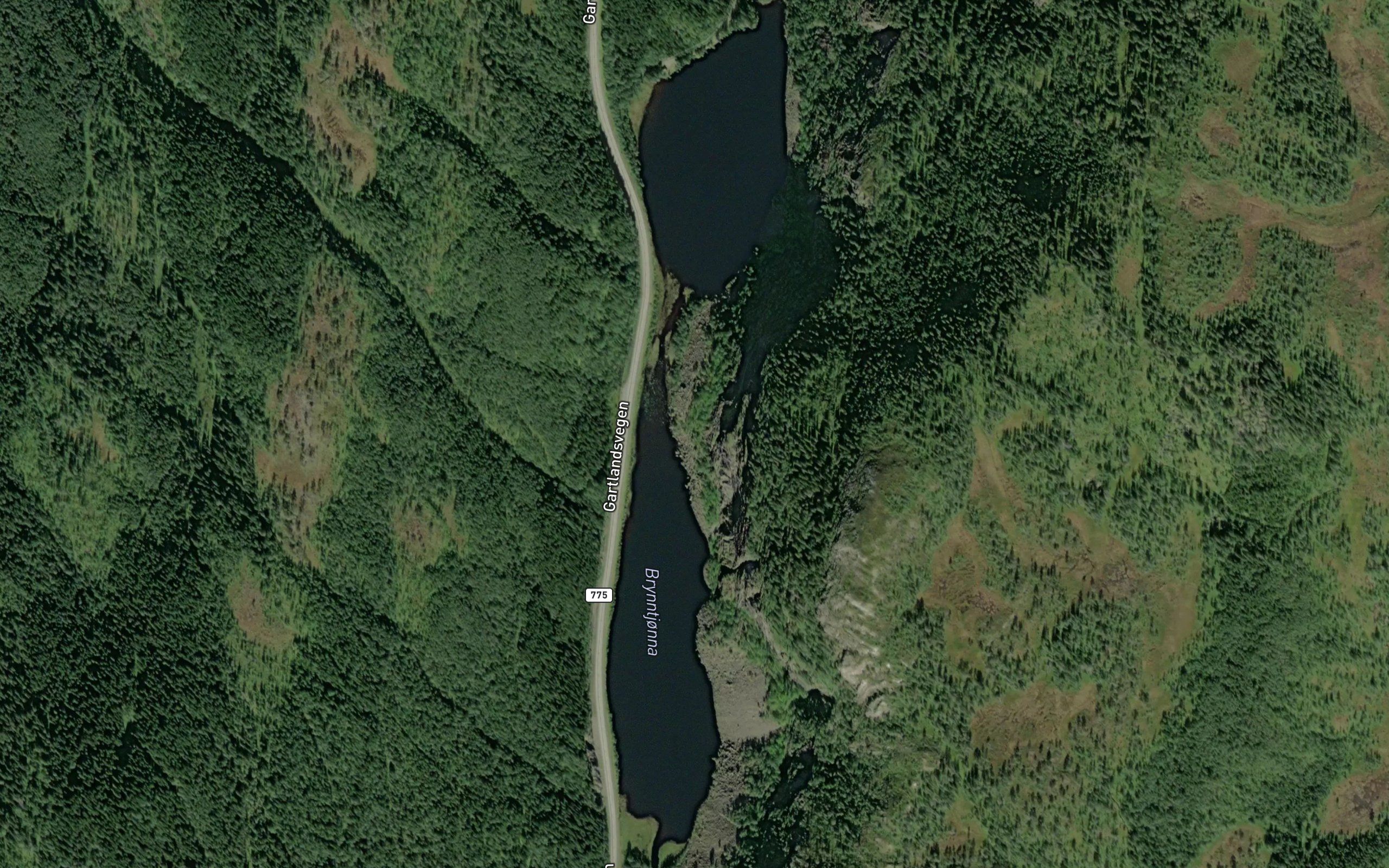 Brynntjorna