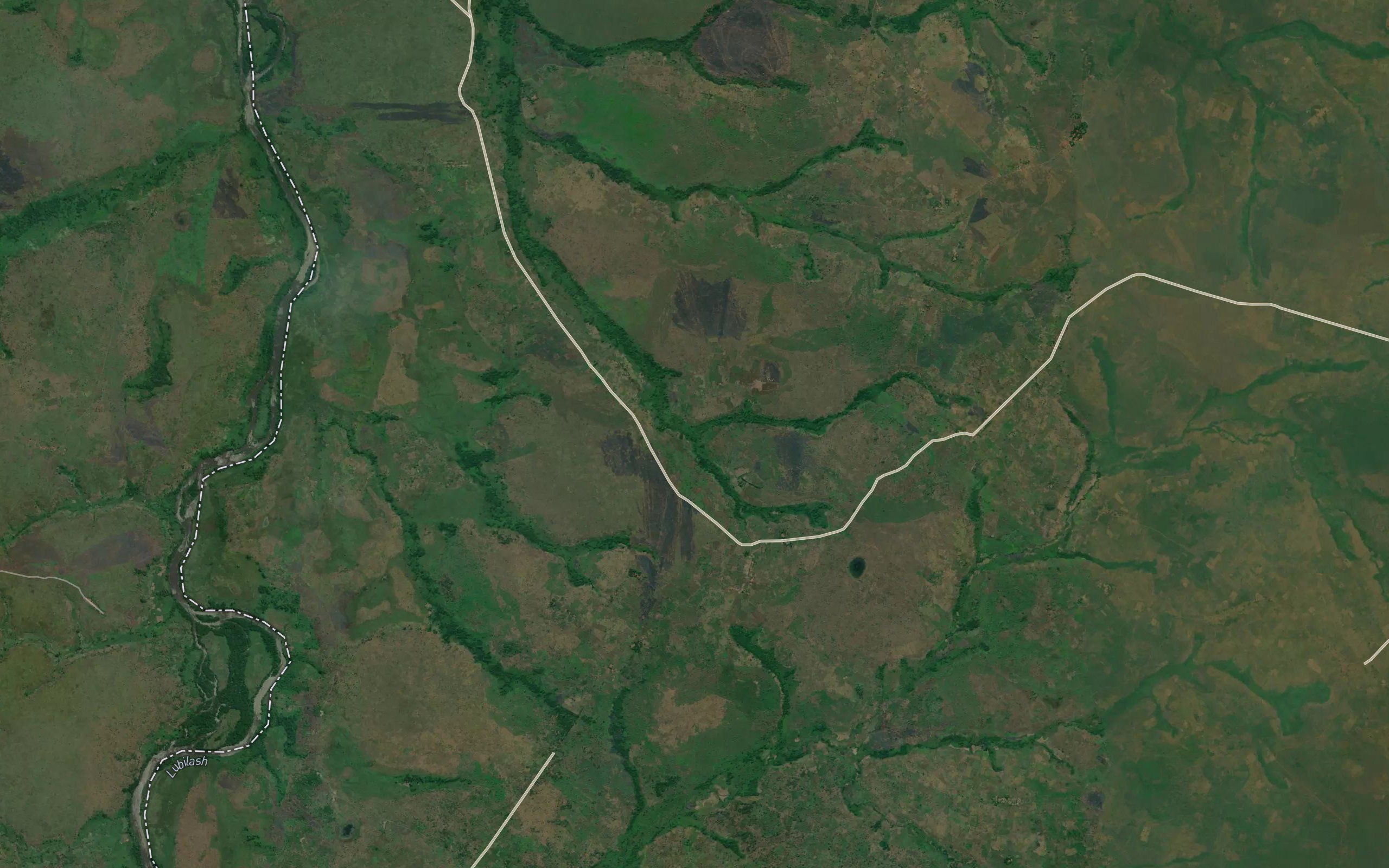Kamusimba