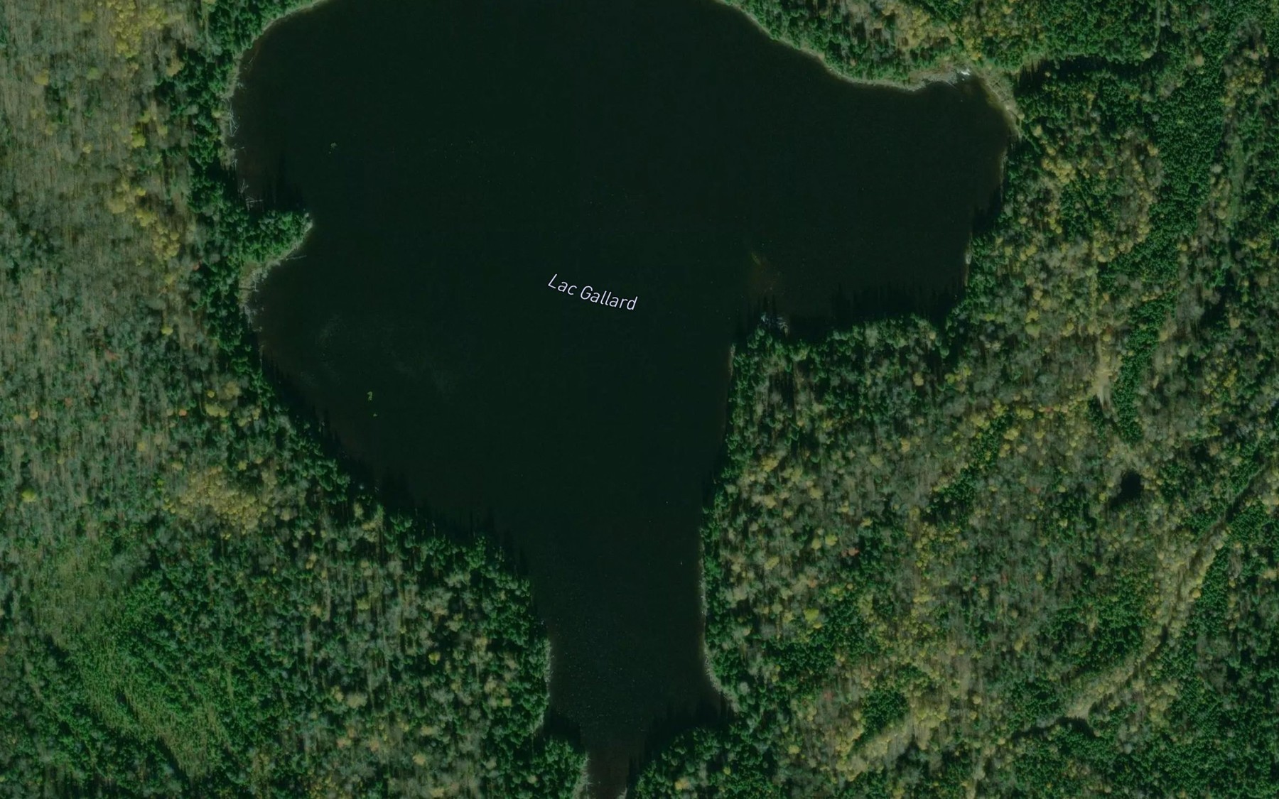 Satellite map of the Lac Gallard