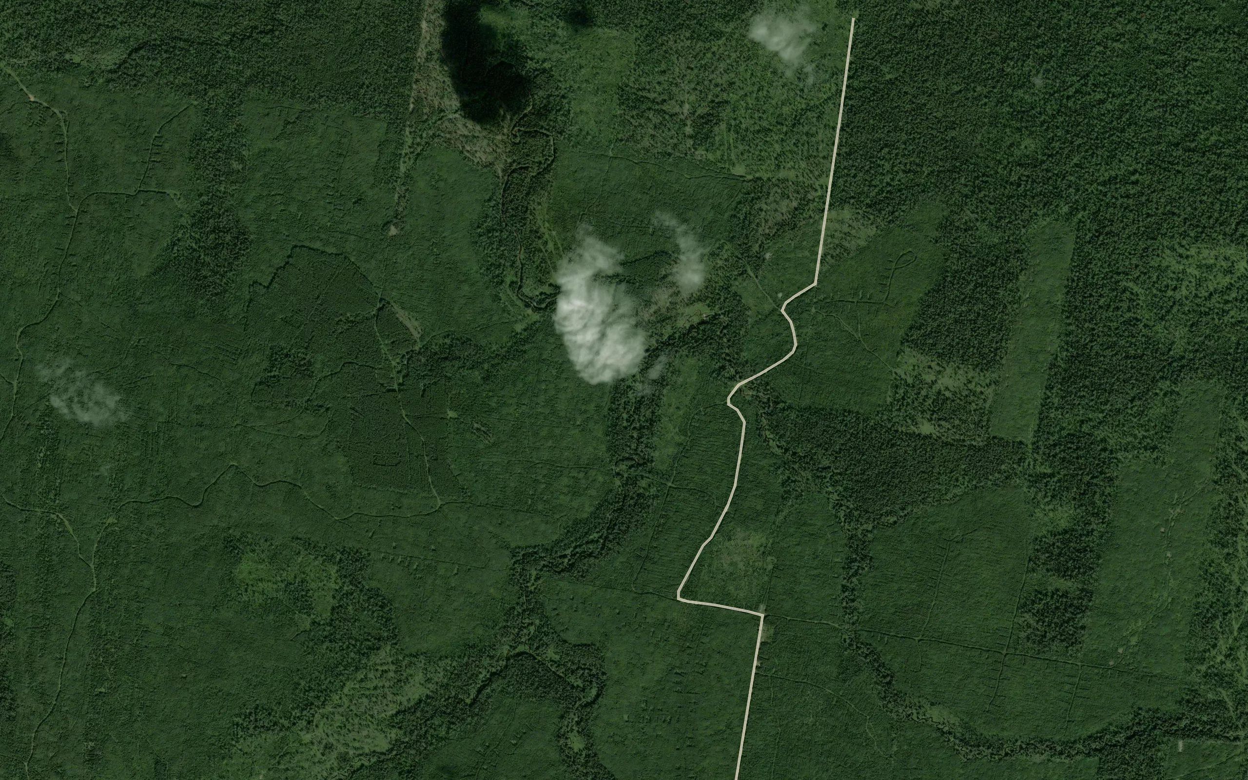 Osinovka
