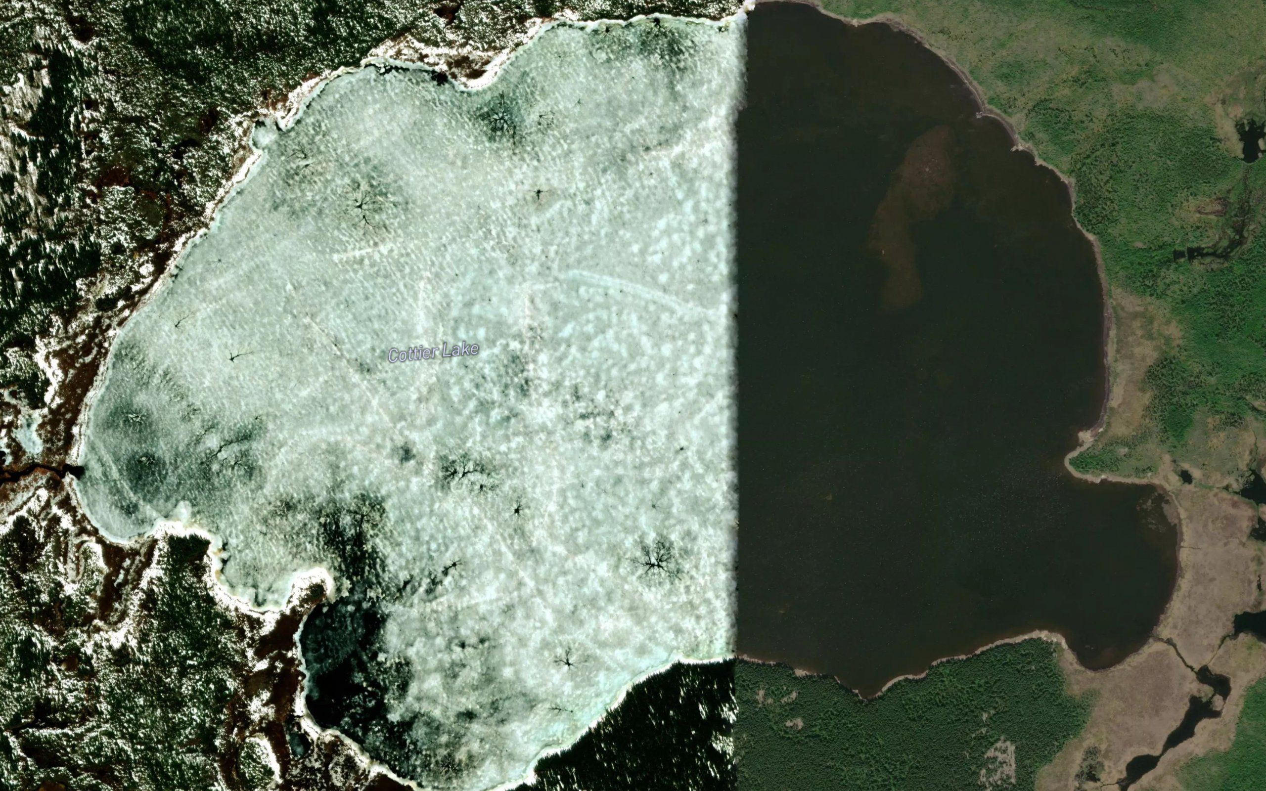 Cottier Lake