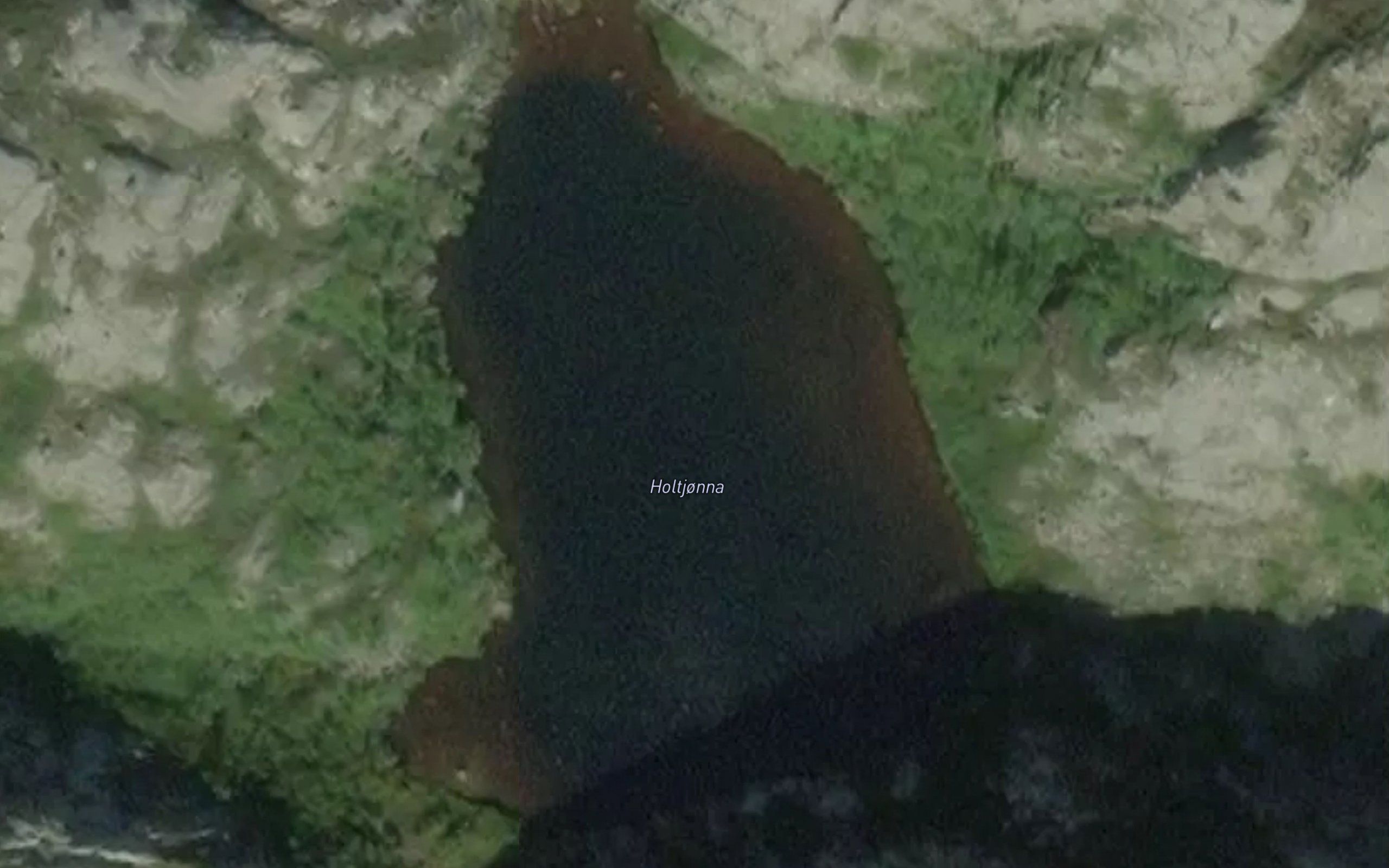 Holtjonna