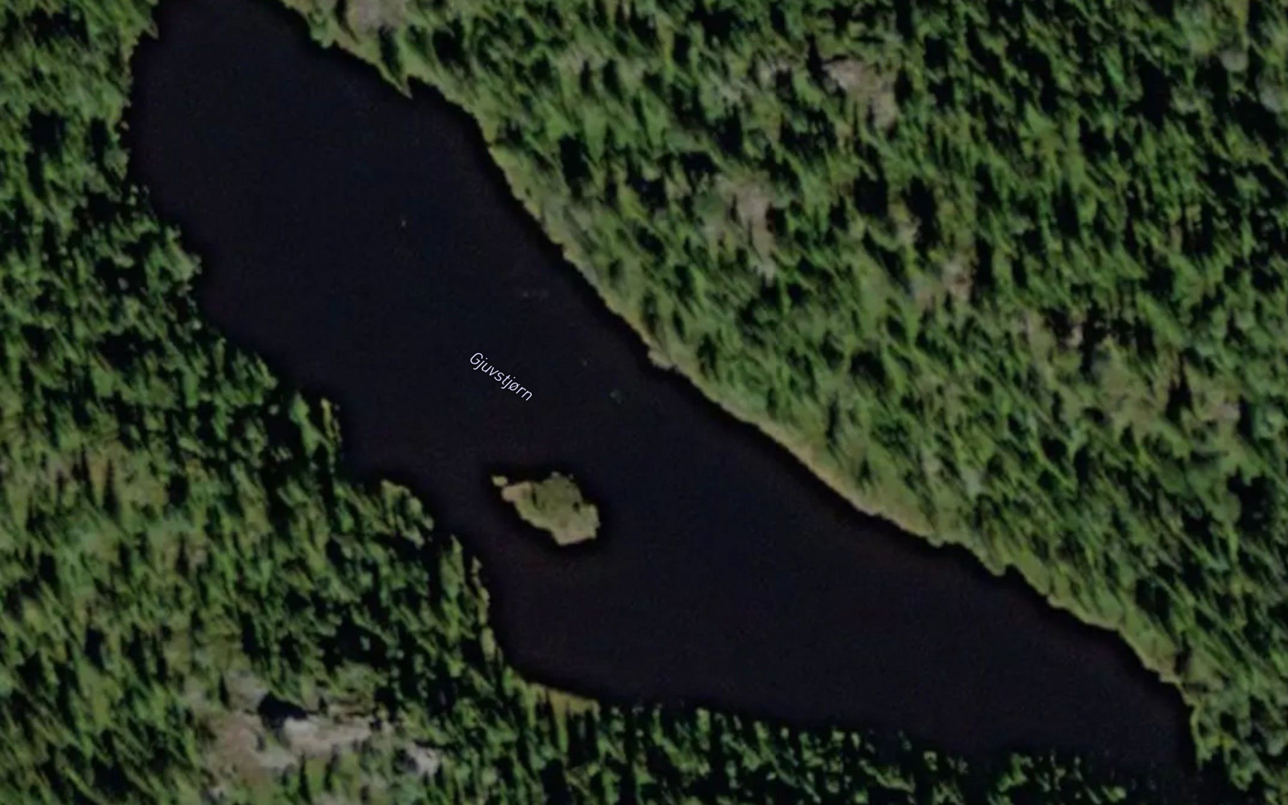 Gjuvstjorn