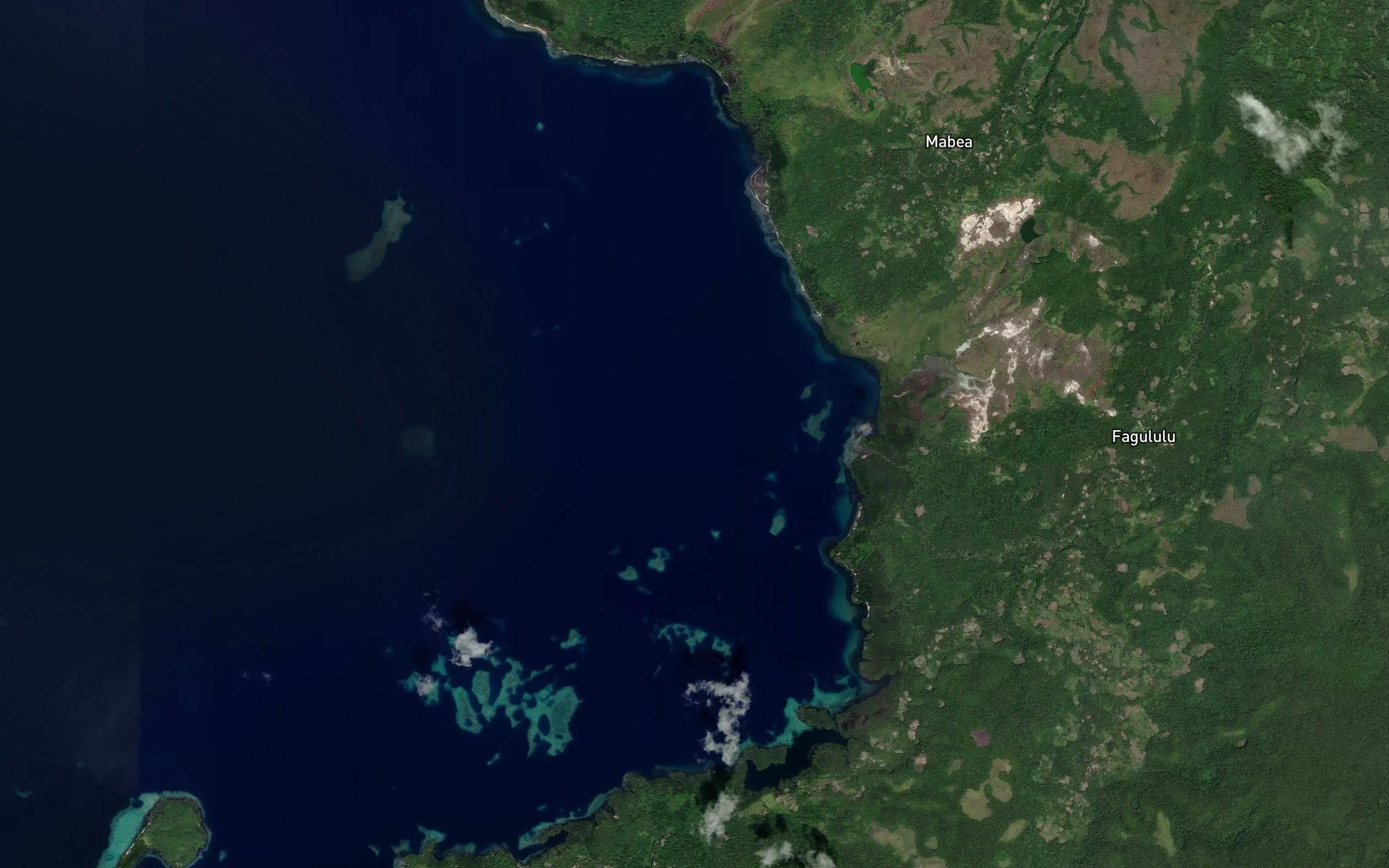 Satellite map of the Seymour Bay