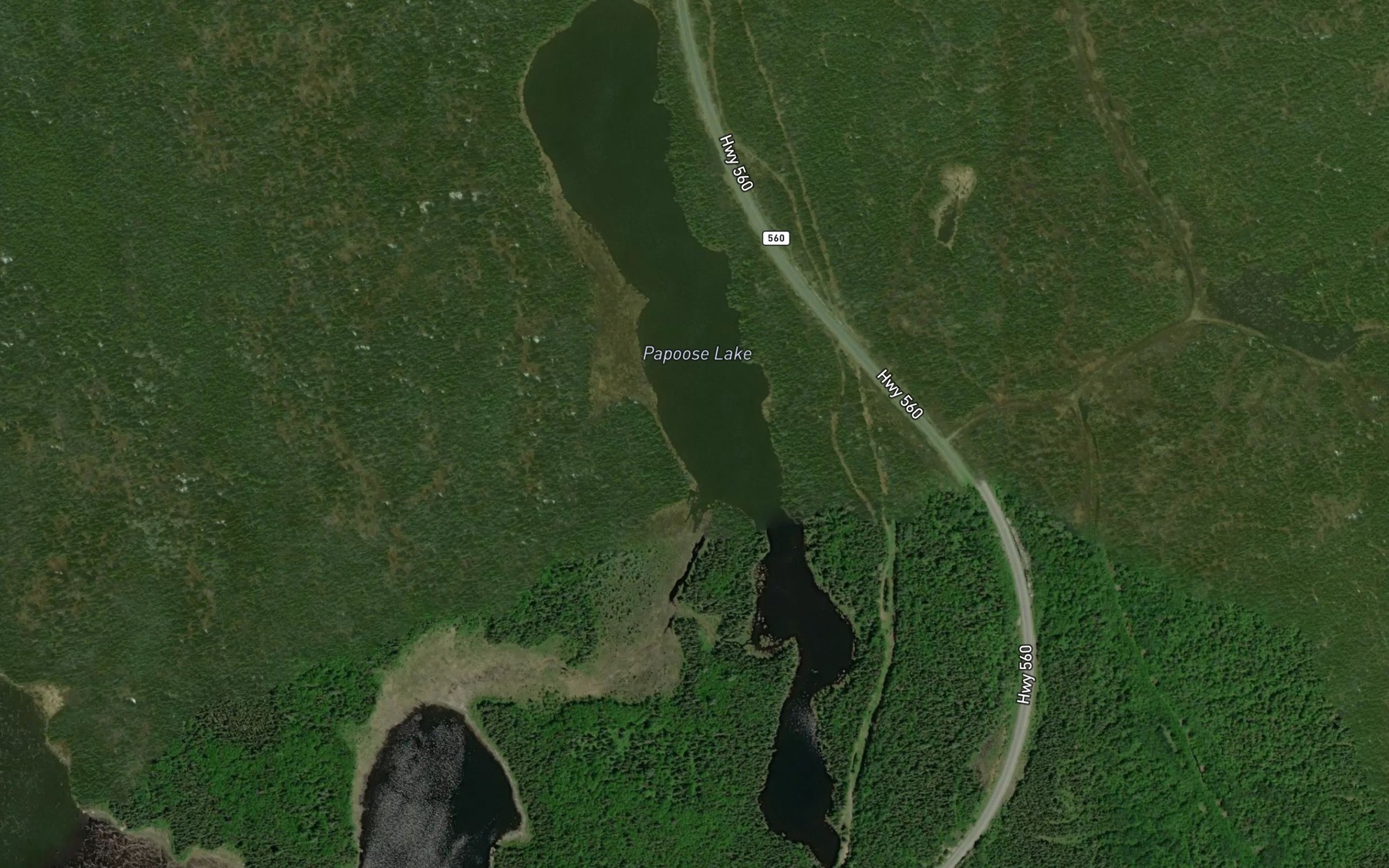 Satellite map of the Papoose Lake