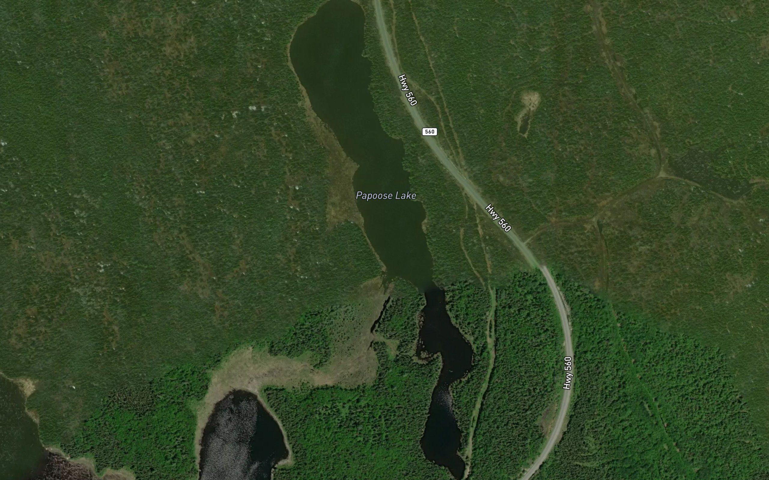 Papoose Lake
