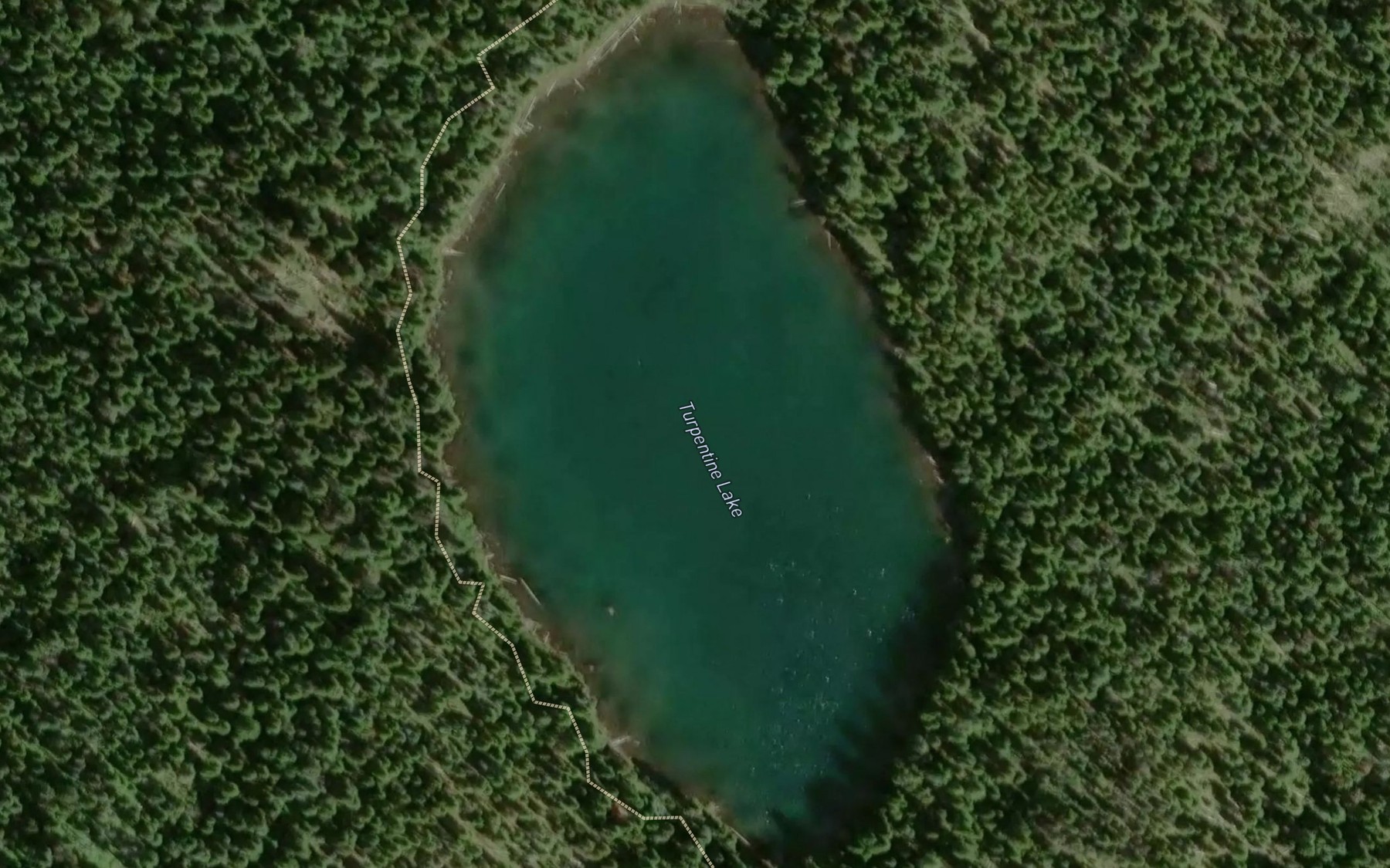 Satellite map of the Turpentine Lake