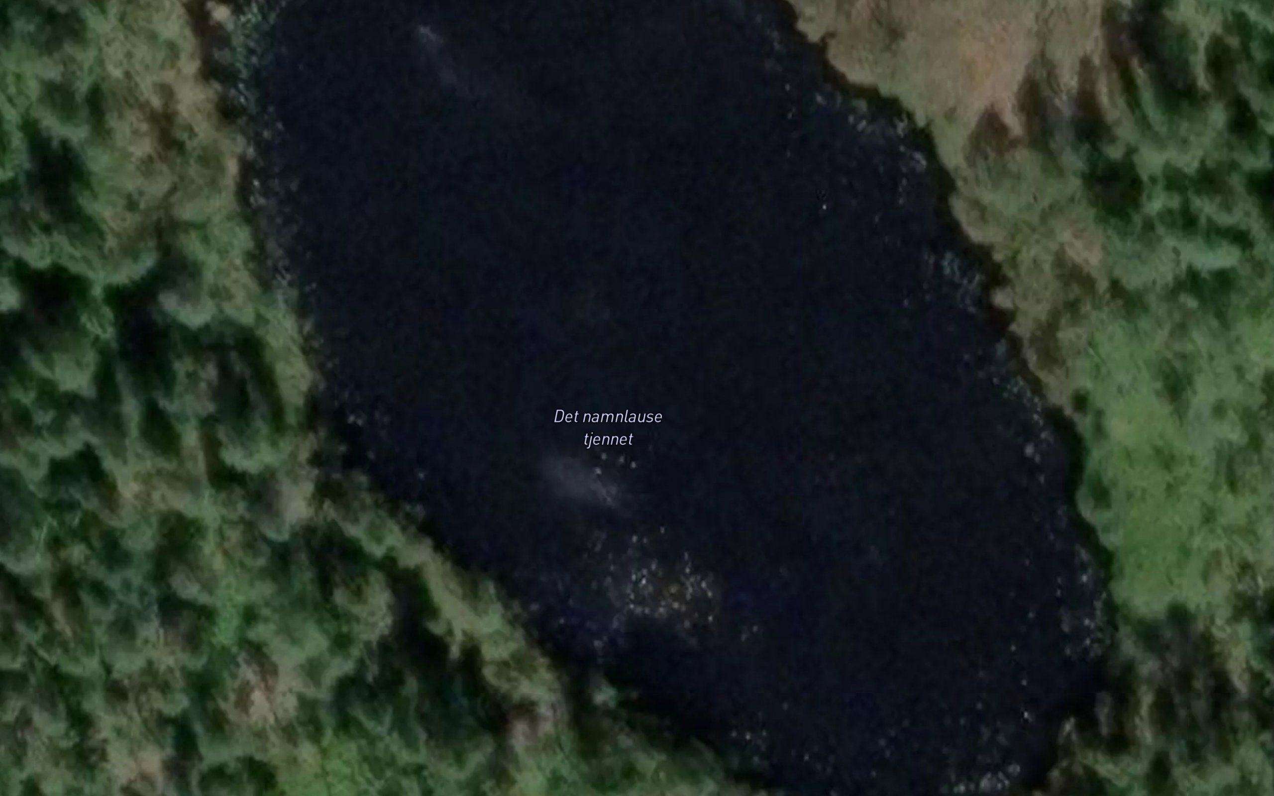 Det namnlause tjennet