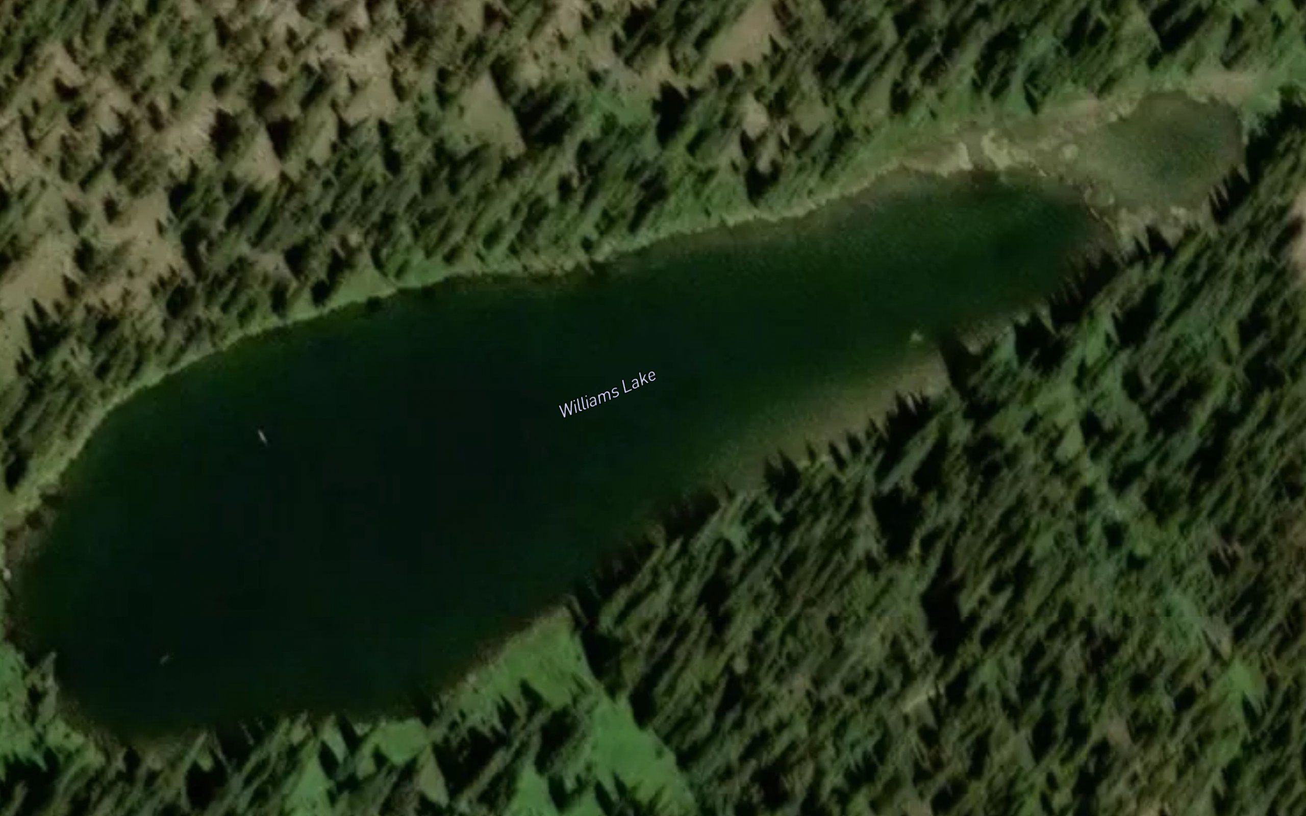 Williams Lake