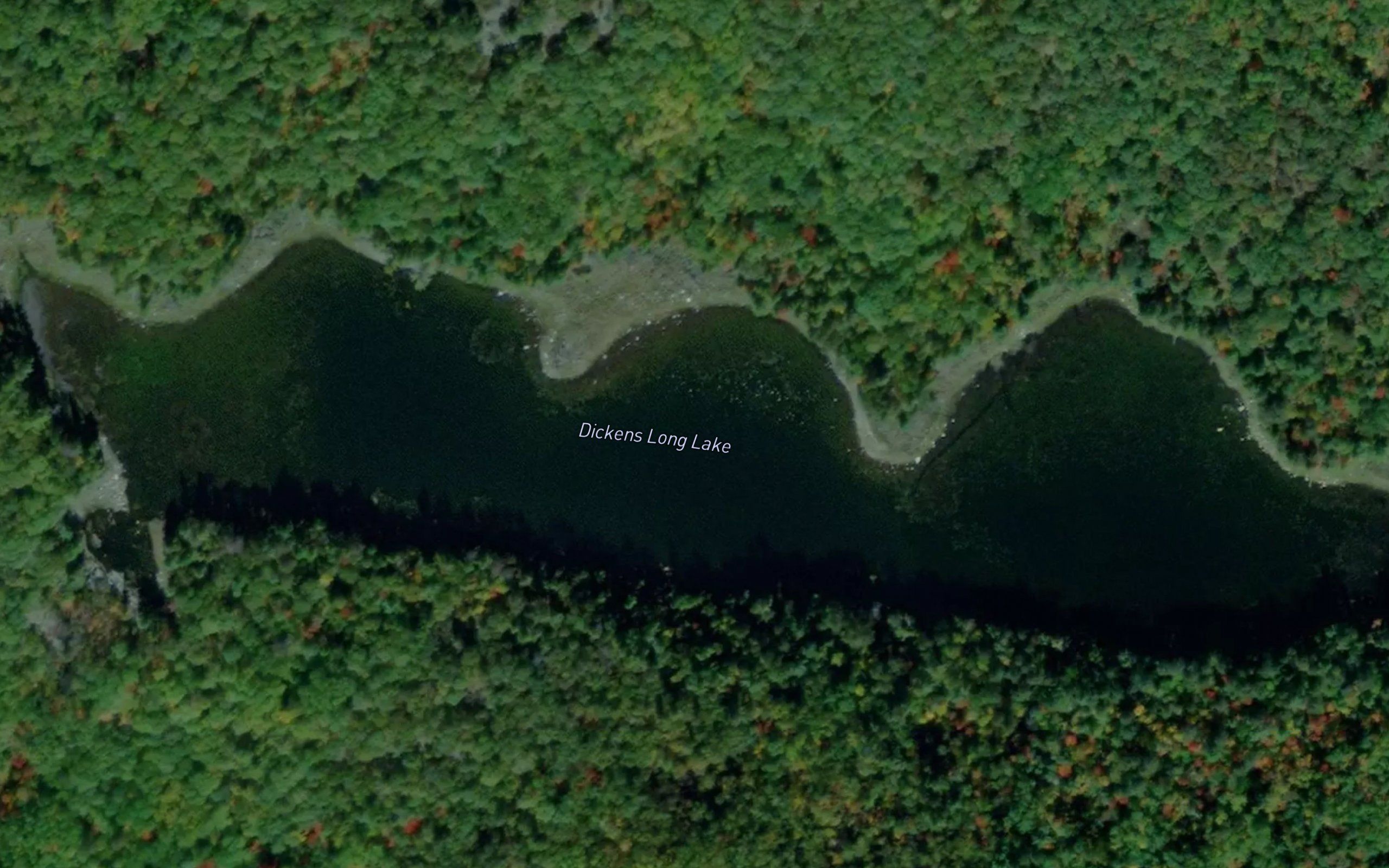 Dickens Long Lake