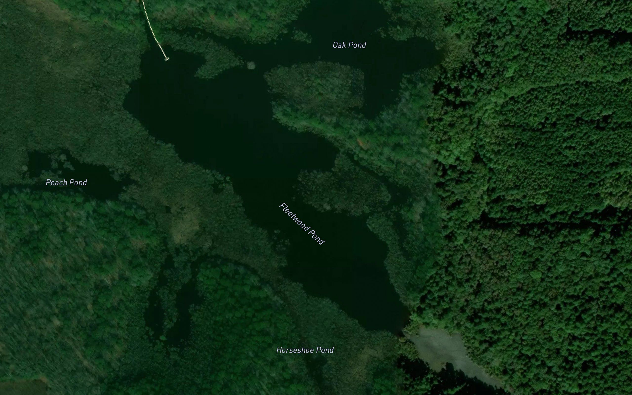 Fleetwood Pond