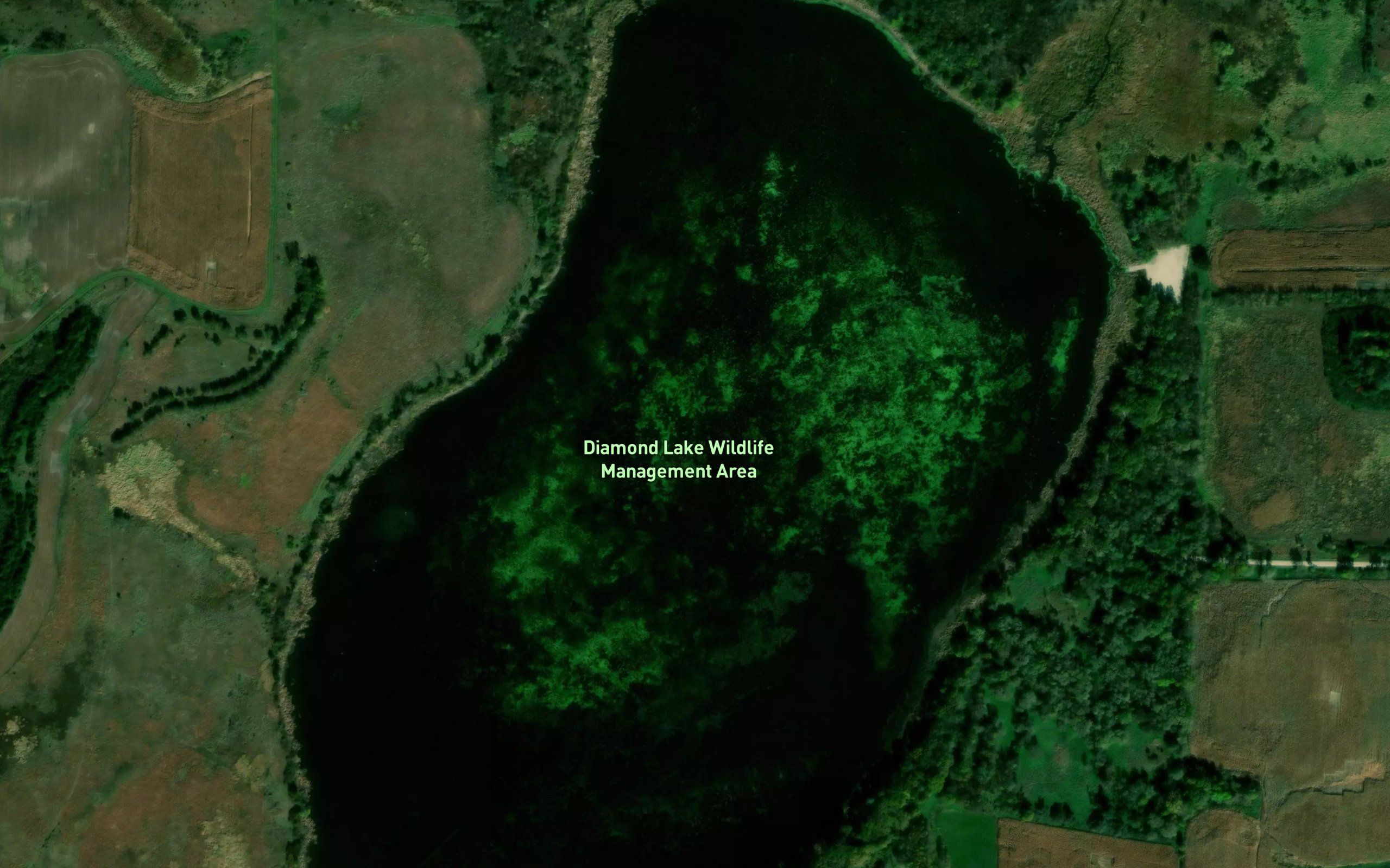 Diamond Lake