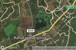 Kahatagasdigiliya Wewa