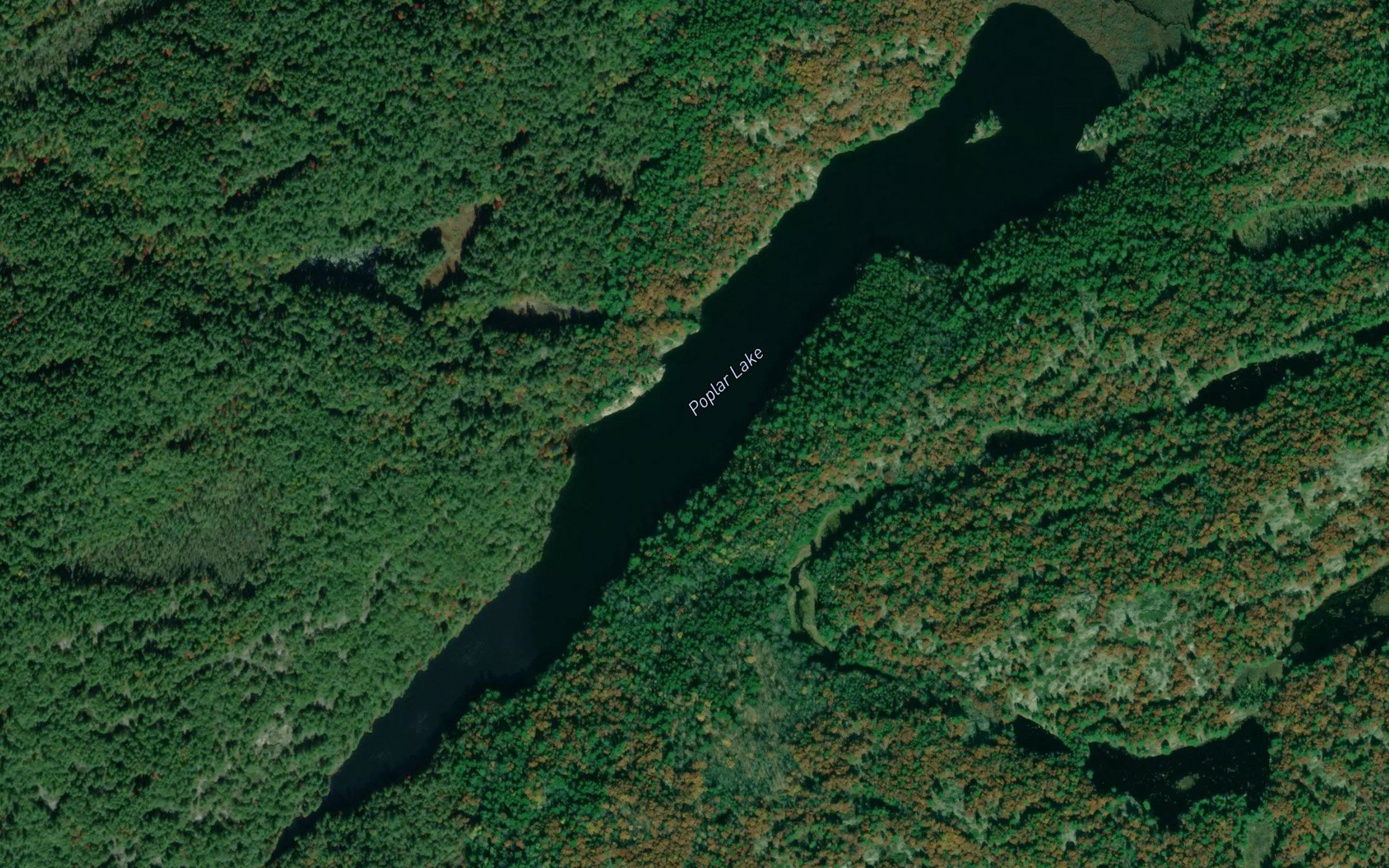 Poplar Lake