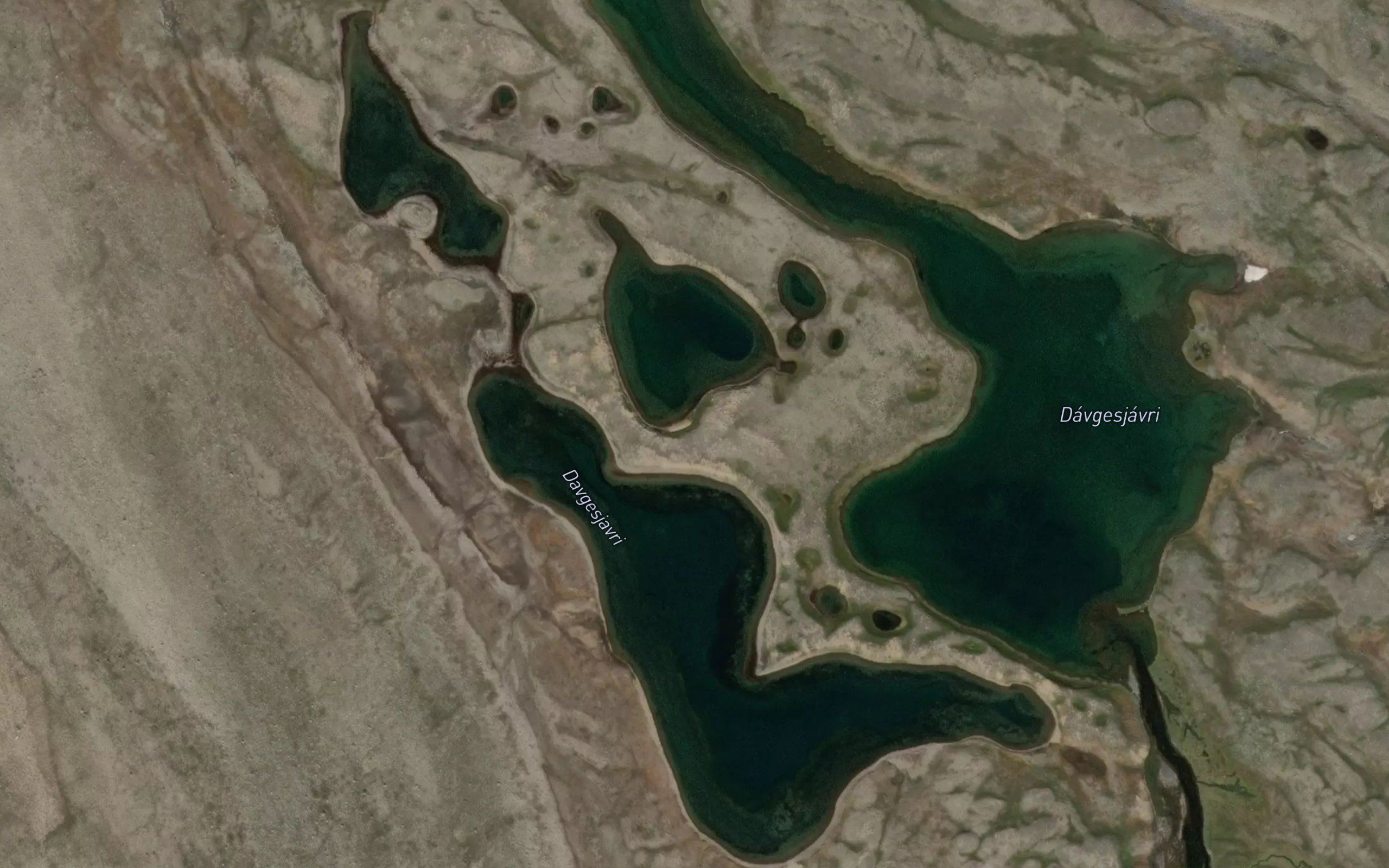 Davgesjavri
