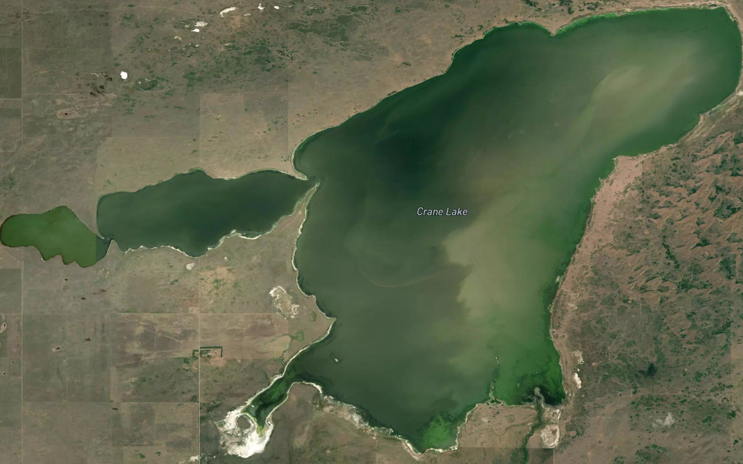 Crane Lake