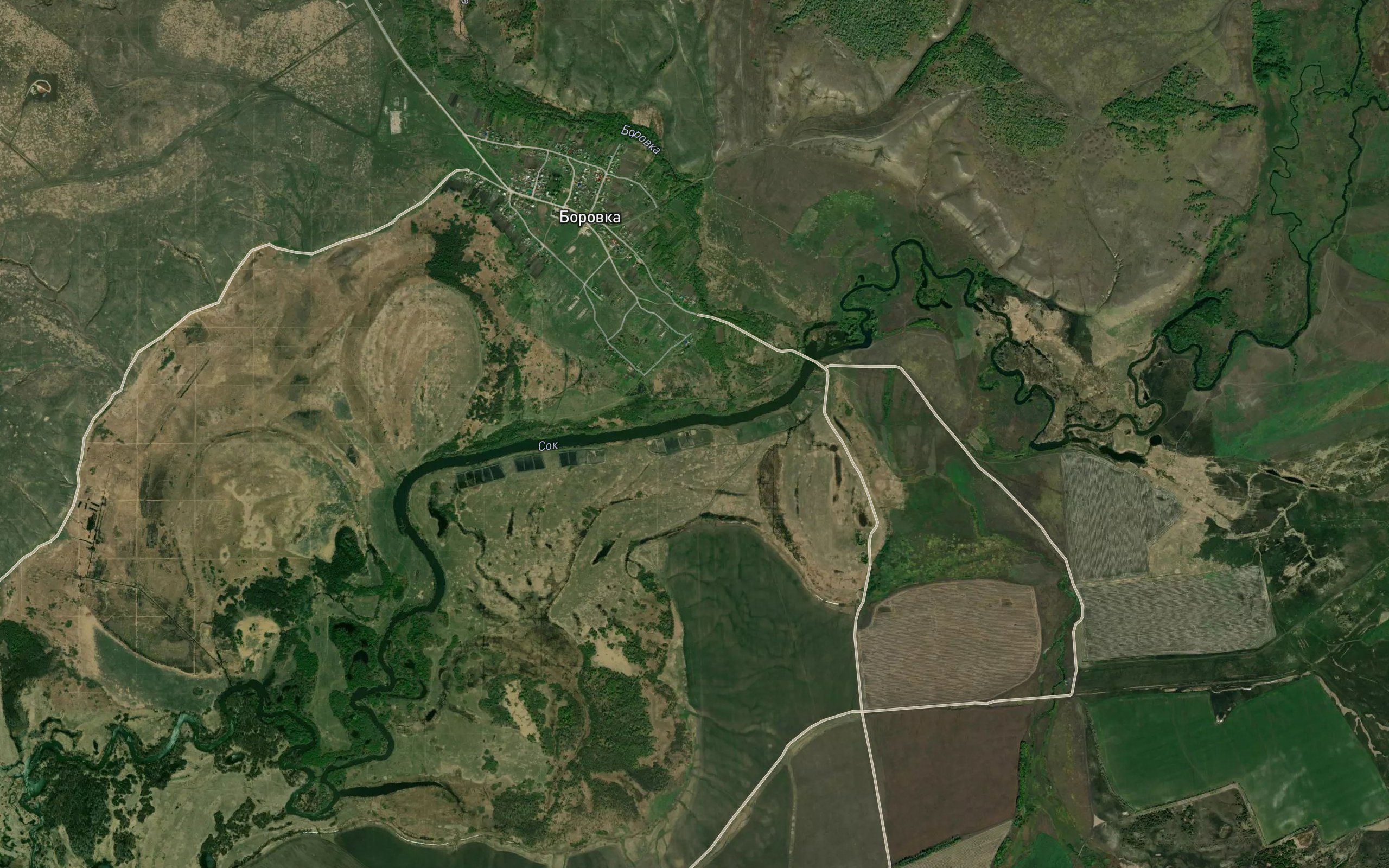 Borovka