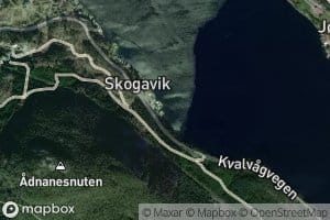 Skogviki