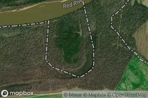 Dick Johnson Cut-Off