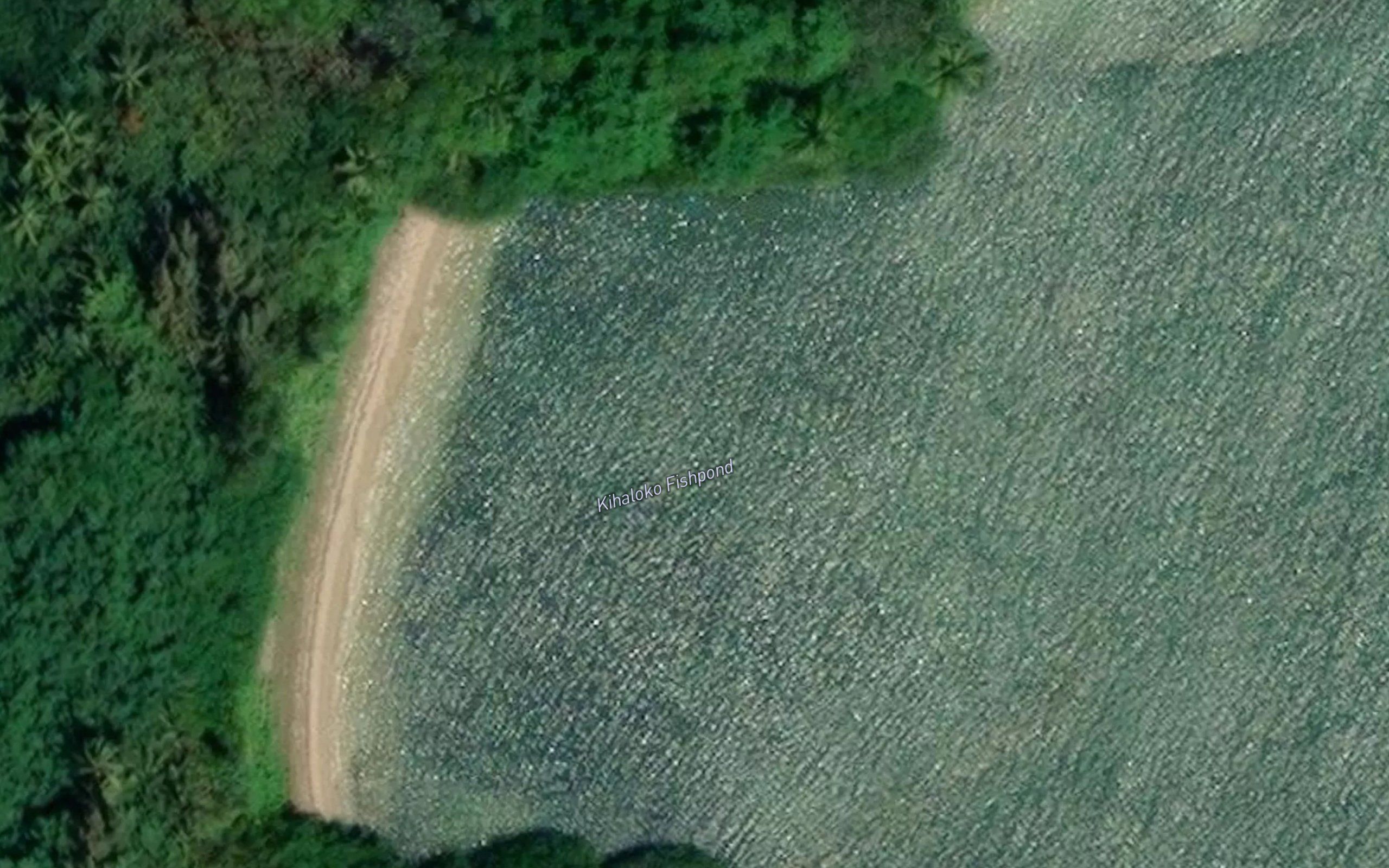 Kihaloko Fishpond