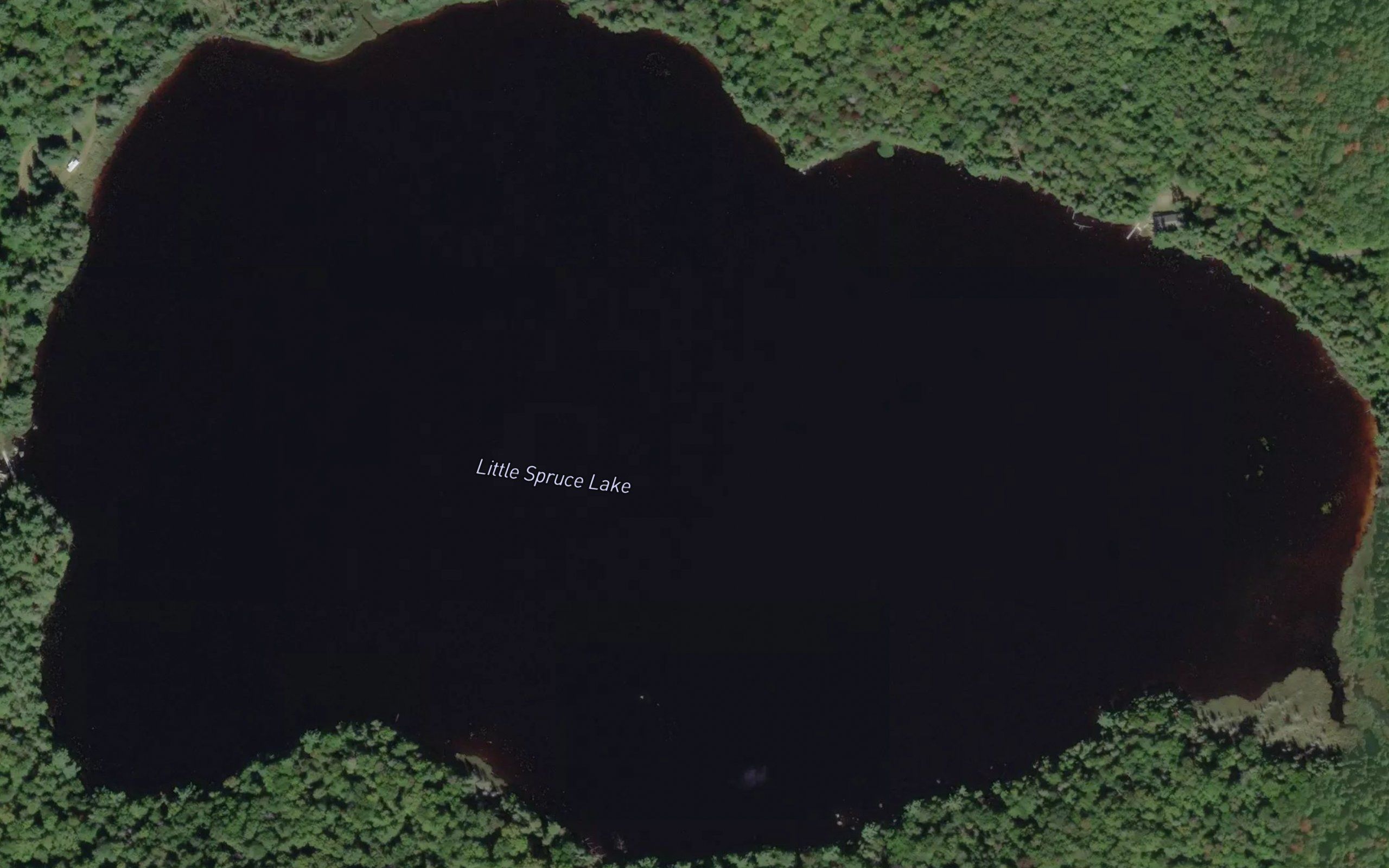 Little Spruce Lake